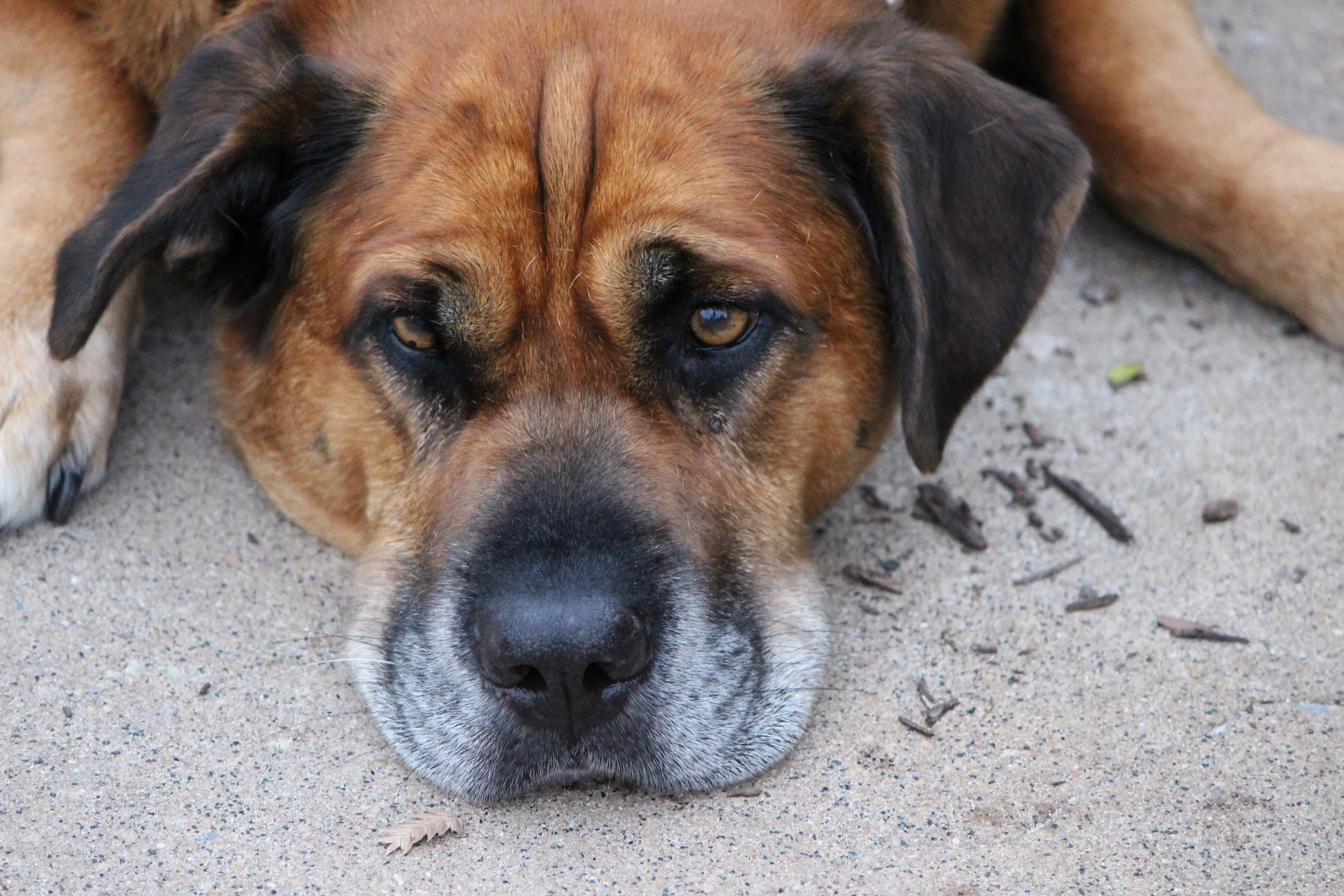 MD DC Utilities Conference 2016 067.JPG