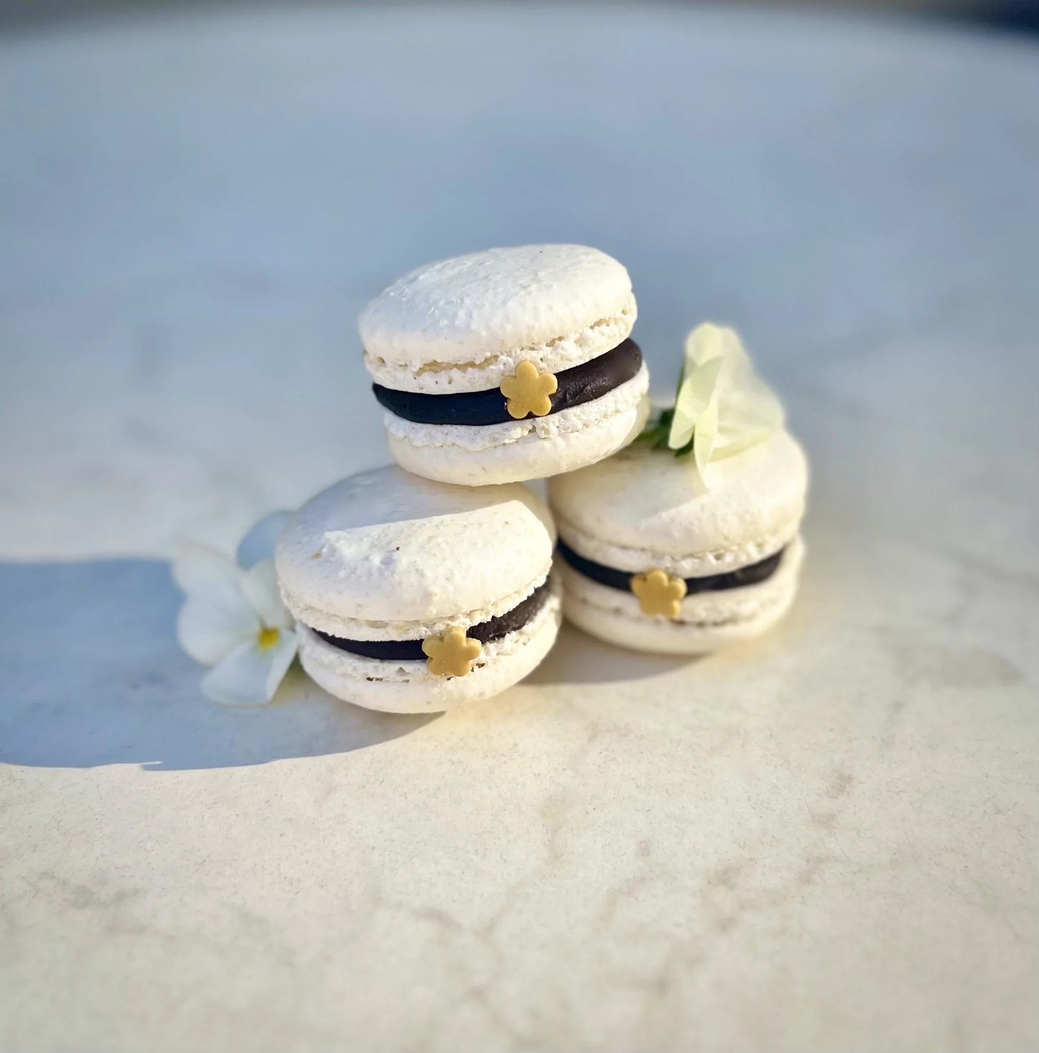 Studentmacarons.jpg