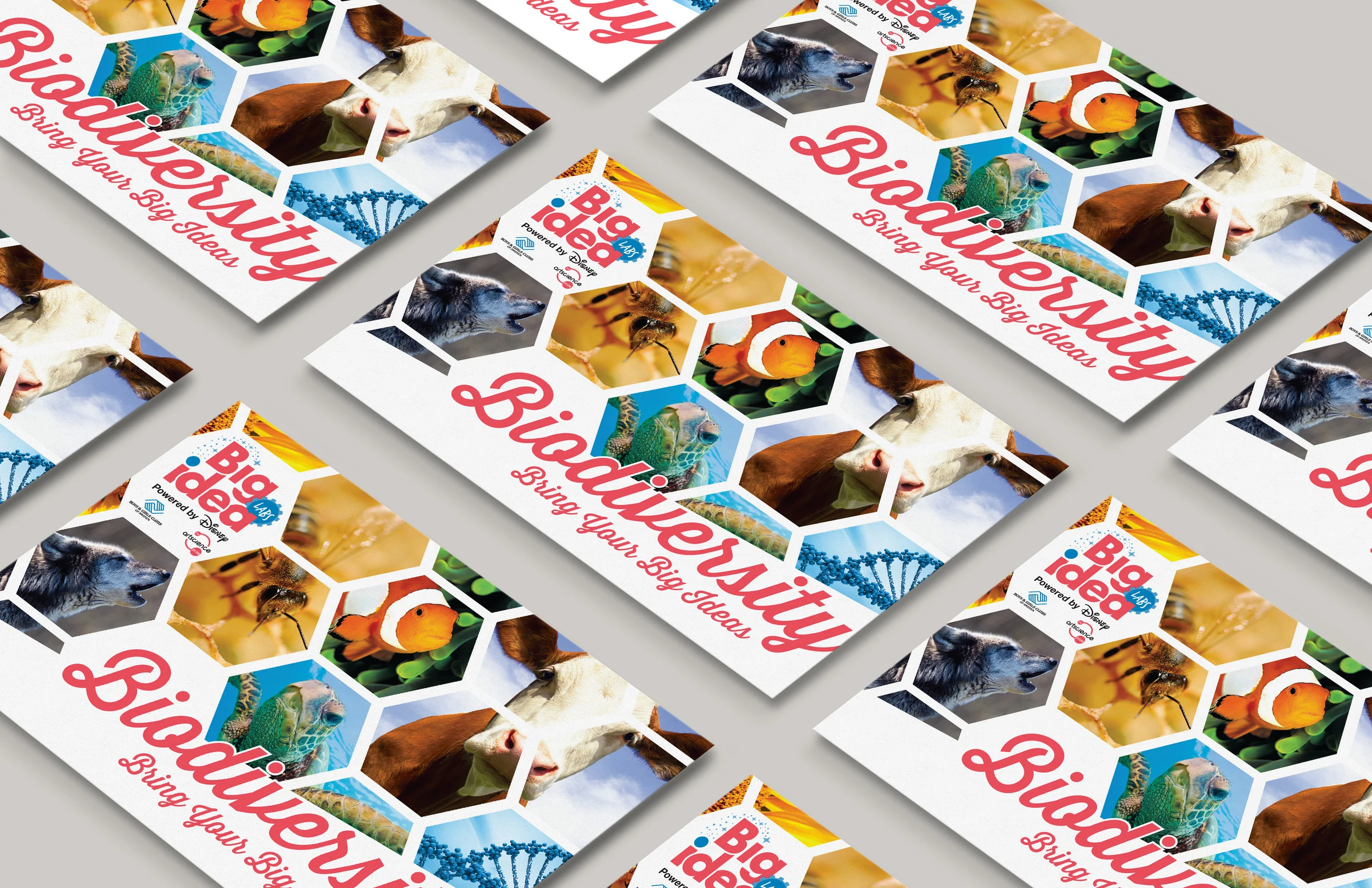 BGCA_Big_Idea_postcard.jpg