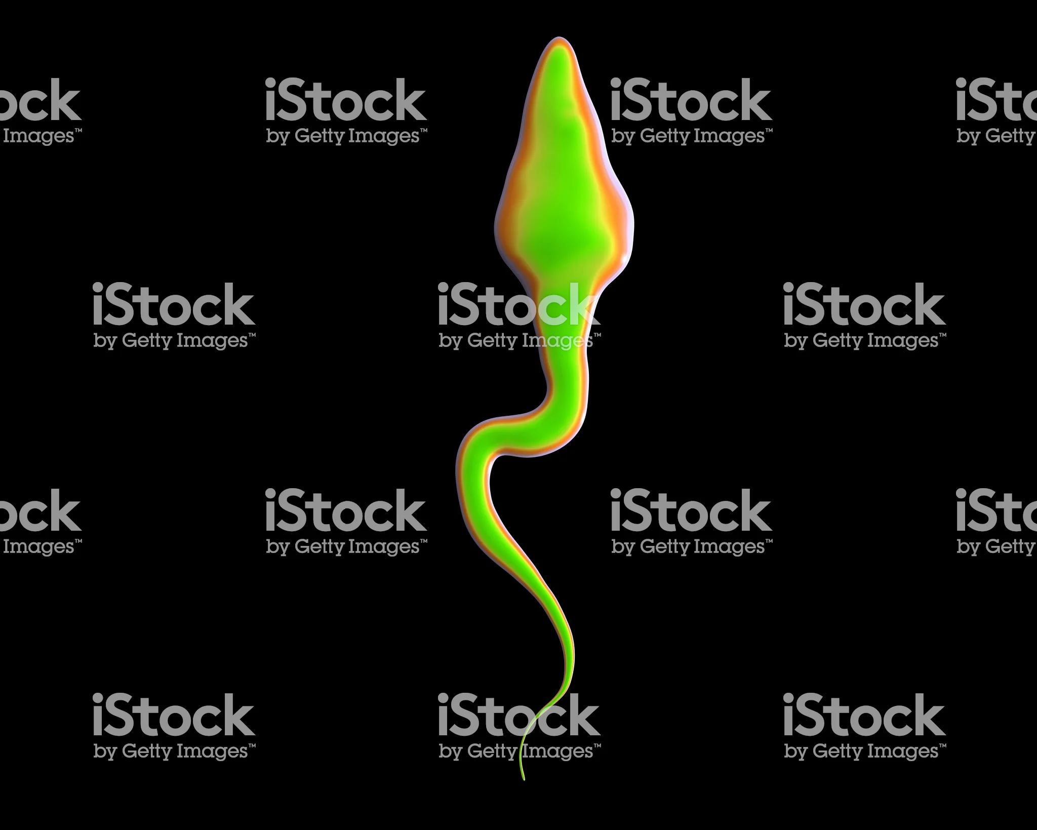 istockphoto-500259667-2048x2048.jpg