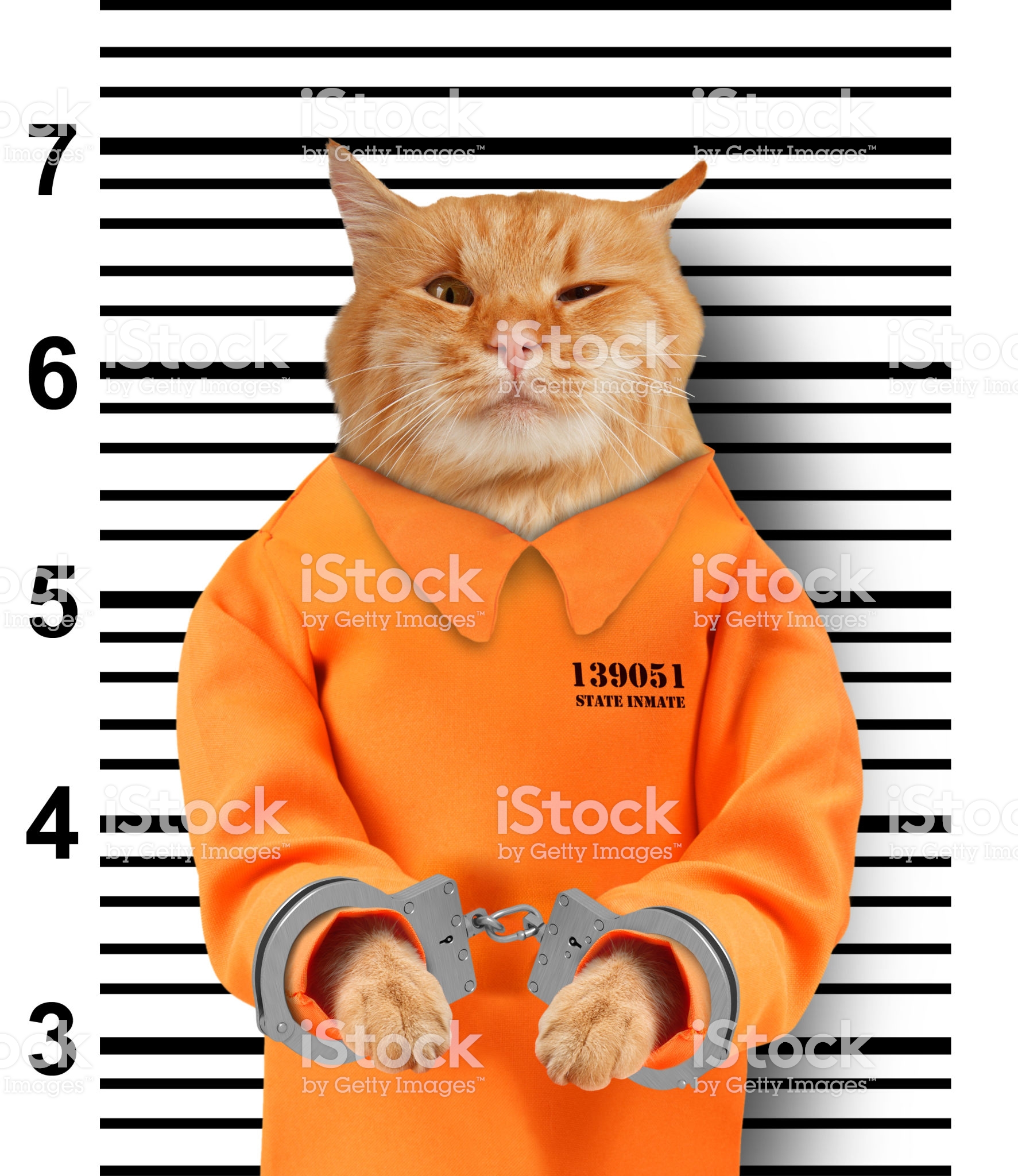 istockphoto-886943176-2048x2048.jpg