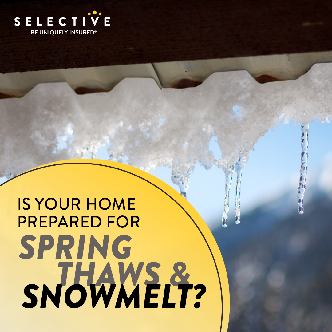01302024-Spring thaw_Spring thaw   2.png