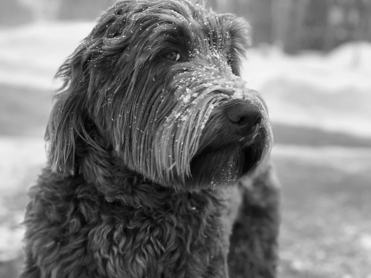 Benson