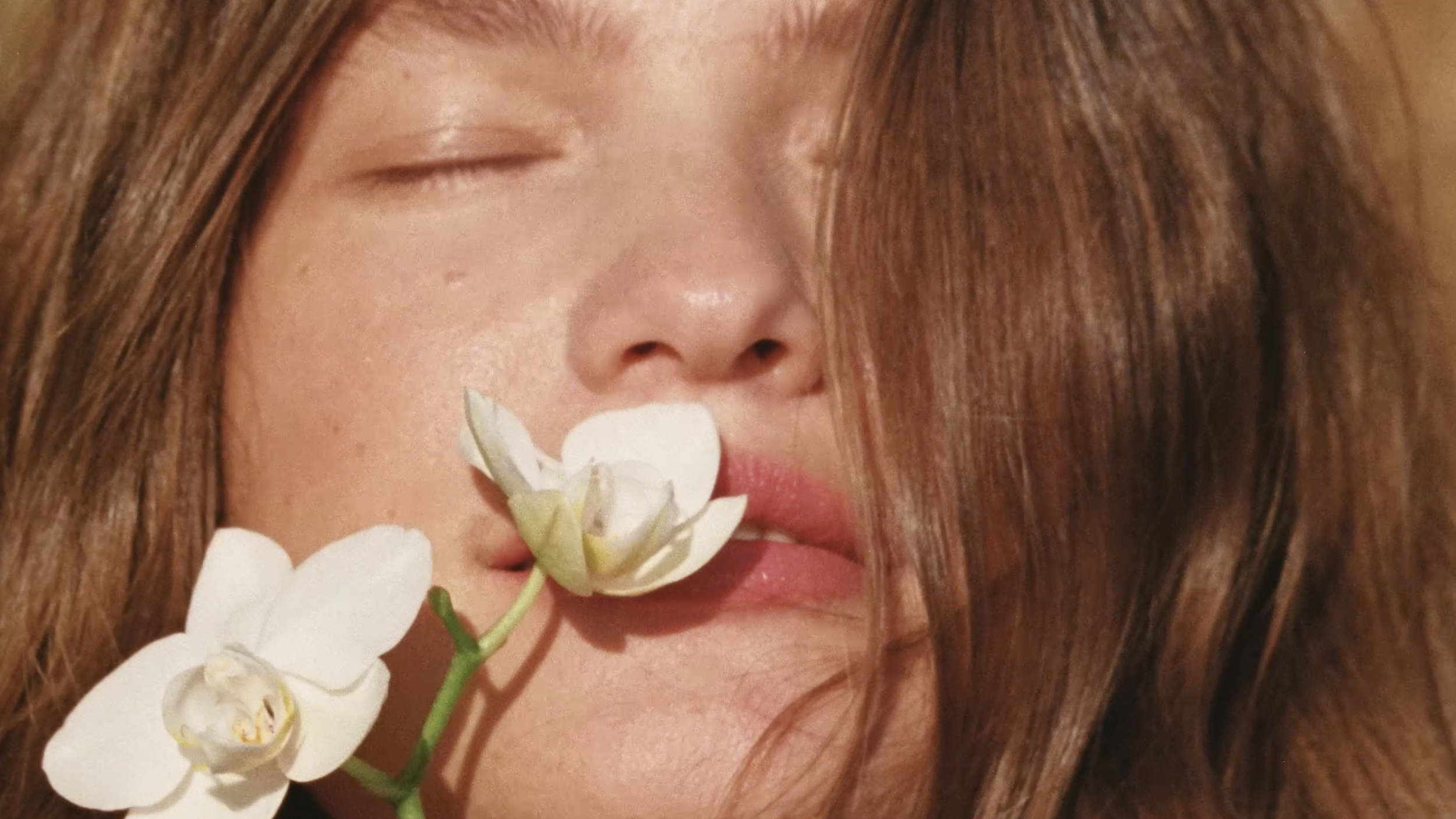 Screenshot 2026-02-13 at 14.36.53.png