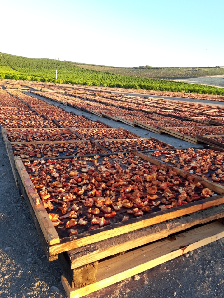 The rows waiting to be stacked