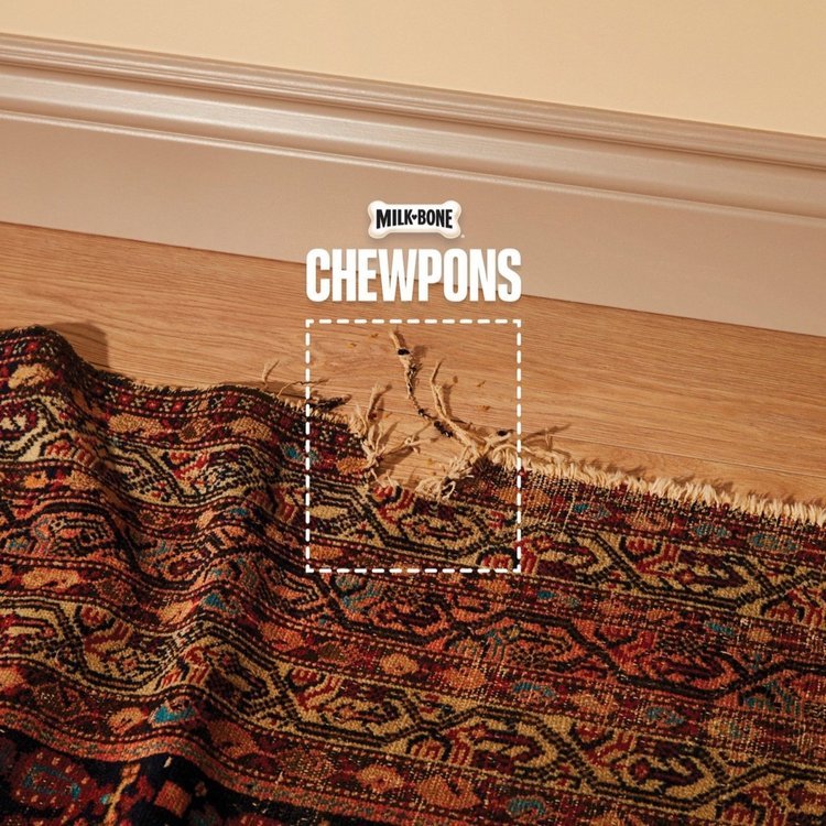 Chewpons_Print_Rug_Digital.jpg