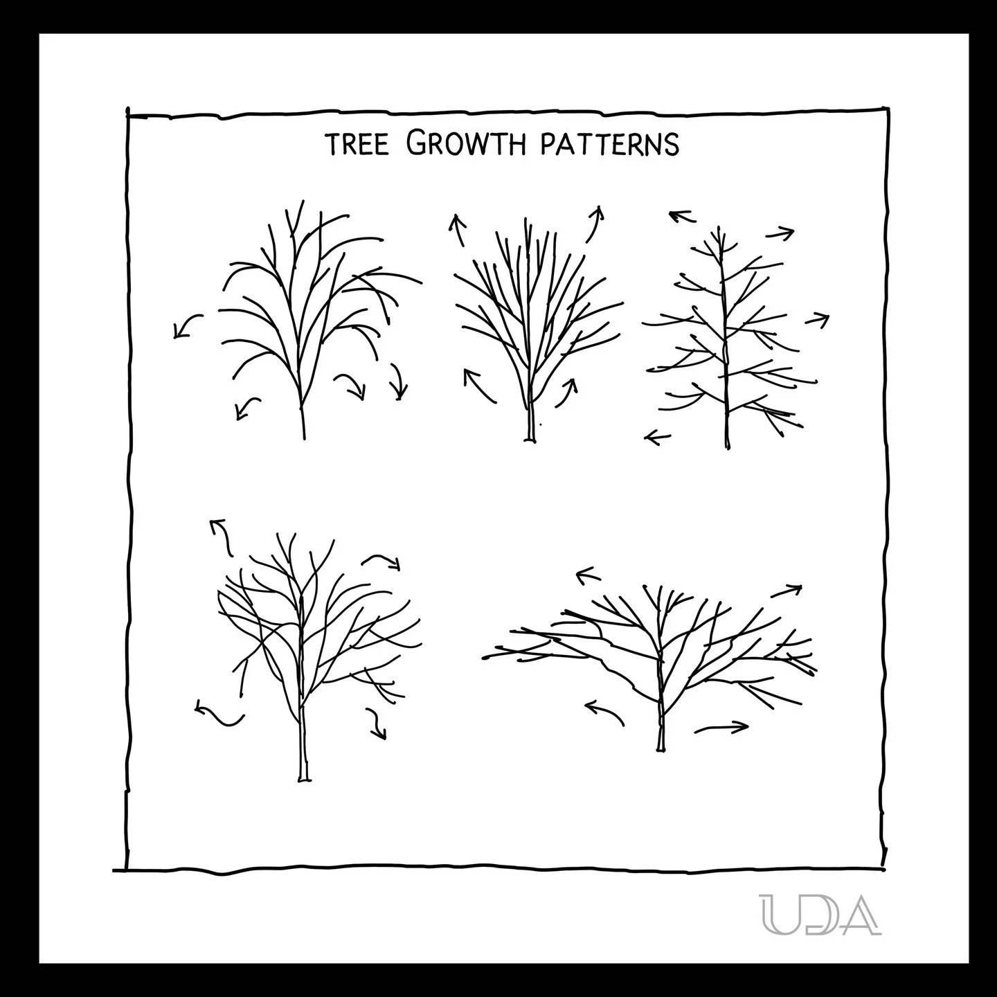 UDA Sketchbook: An analysis of trees for your next drawing excursion.

#UDAsketchbook #UDADrawingTips #UDAatelier #UDAstudio #pencilsketches #sketch #sketchingart #drawing #art #sketchbook