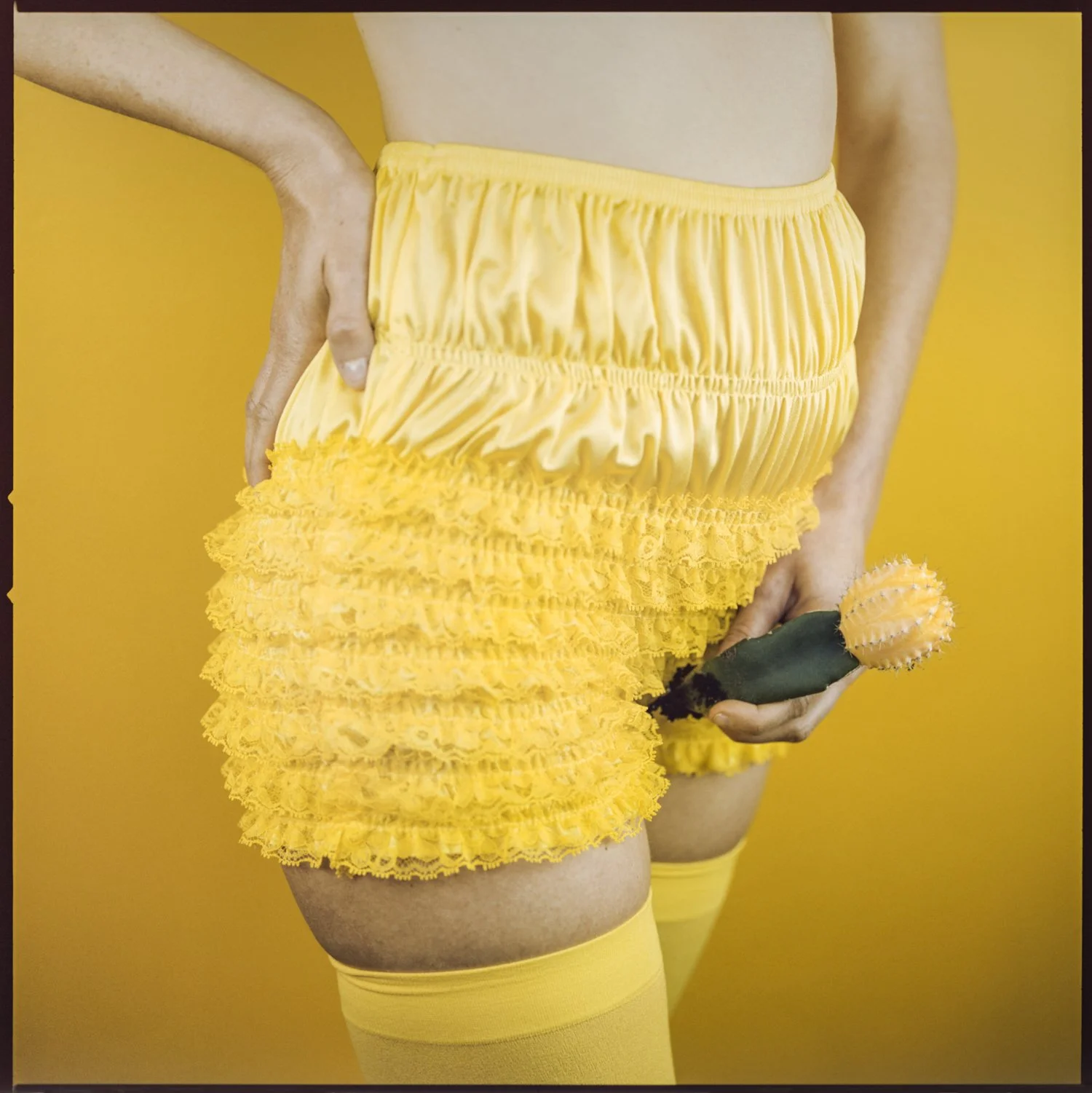 Dick, the Cactus Prick.jpg