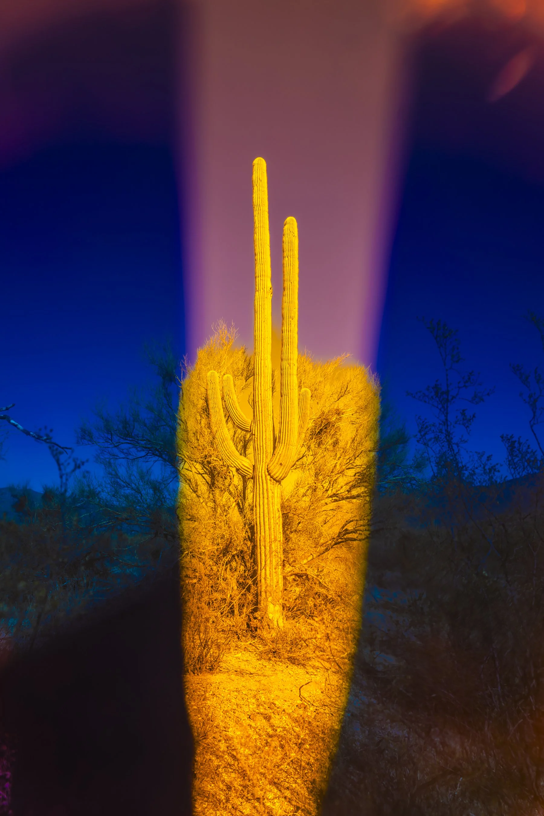 Let There Be Light.jpg