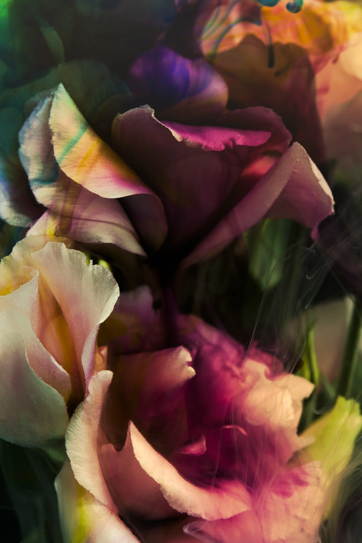 Dark Love I