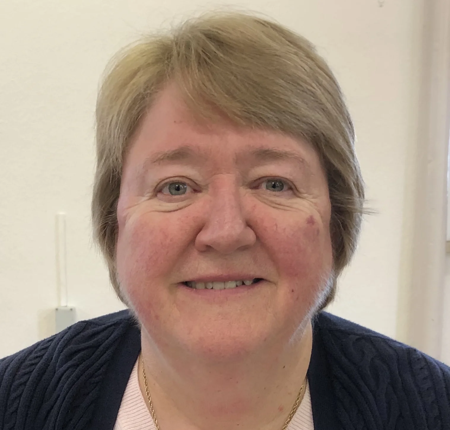 Janet Bird I am a Licensed Reader in the Diocese of St Albans, based at All Saints’ Church, Hertford. I am a member of Deanery and Diocesan synods as well as serving on Bishop’s Council. I was vice Chair of the Board for Church and Society and currently serve on the board for Mission and Ministry which replaced the BCS following the merger with the council for Discipleship and Mission. I am also currently a member of the St Albans Community Justice Network which reports to the Board for Mission and Ministry.