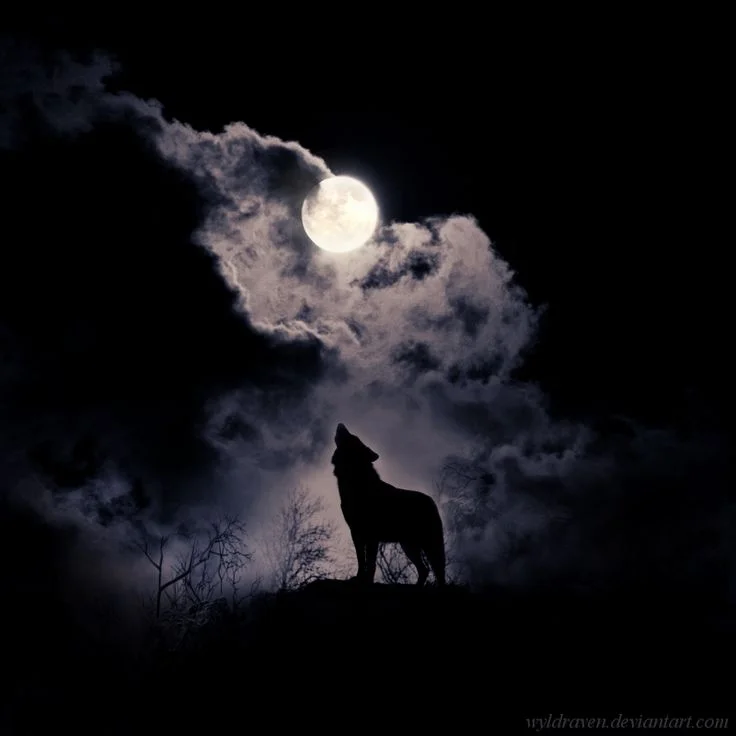 Art: wyldraven