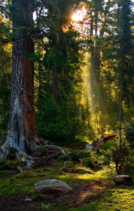 Photo: Alexander Nerozya