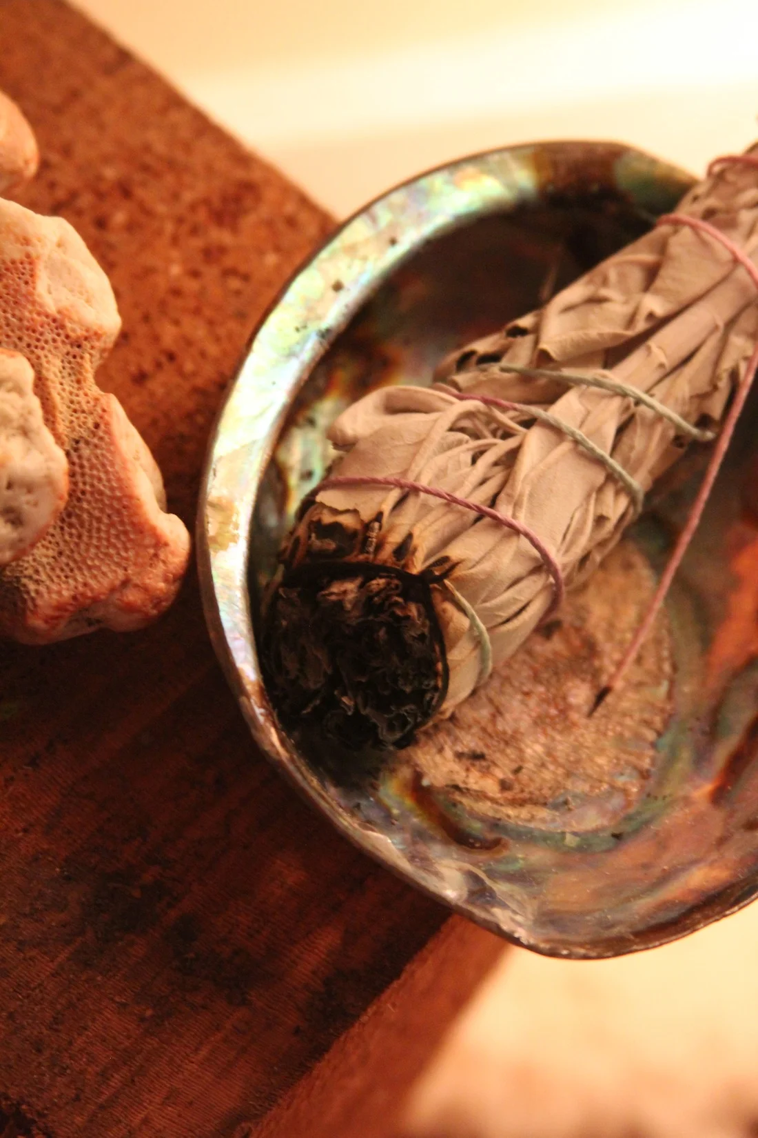Sage smudge rests in an abalone shell, atop a block of cedar