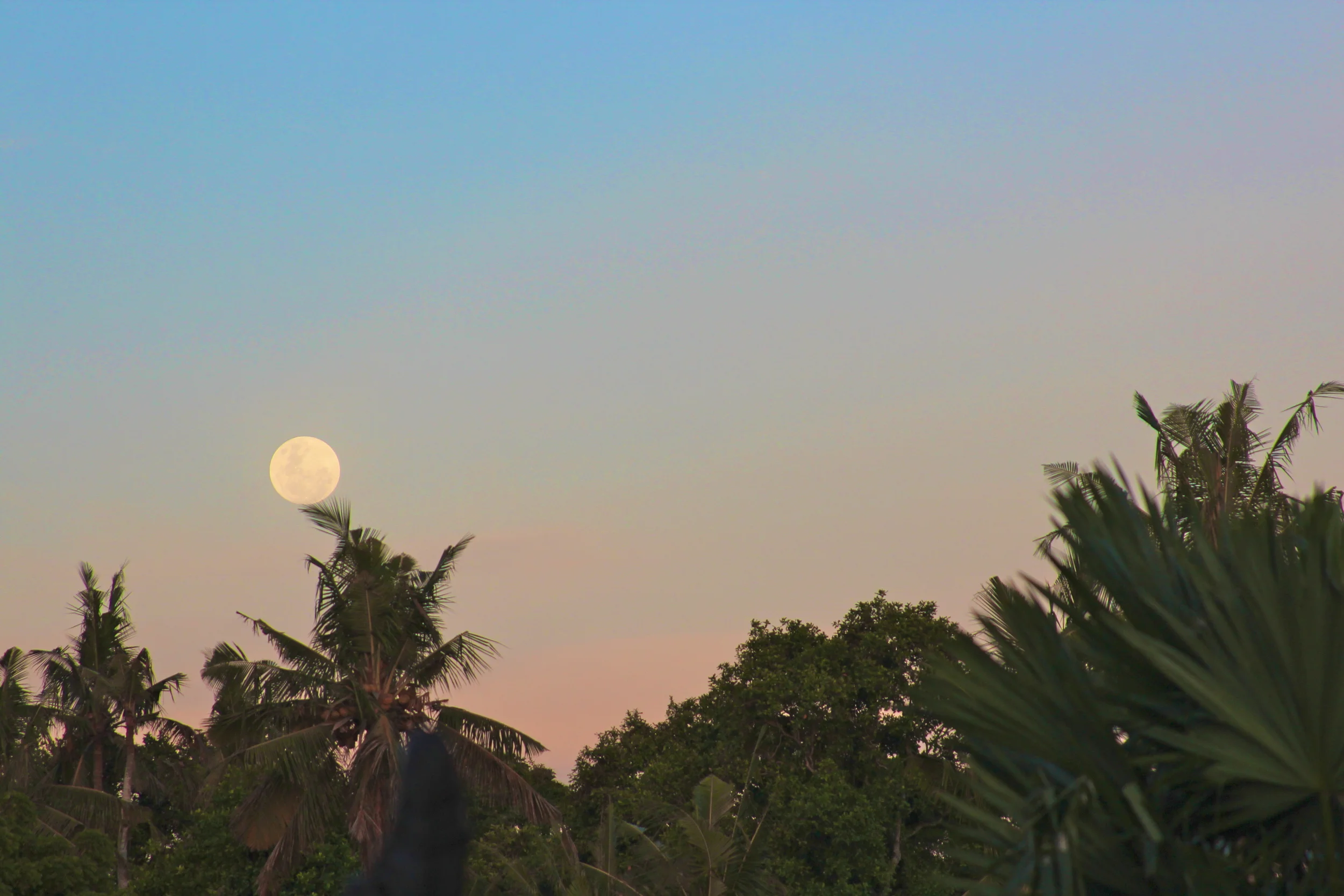 The Full Moon in Leo rising in Canggu, Bali