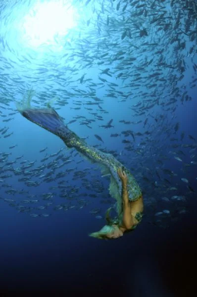 Pictured: Hannah Mermaid