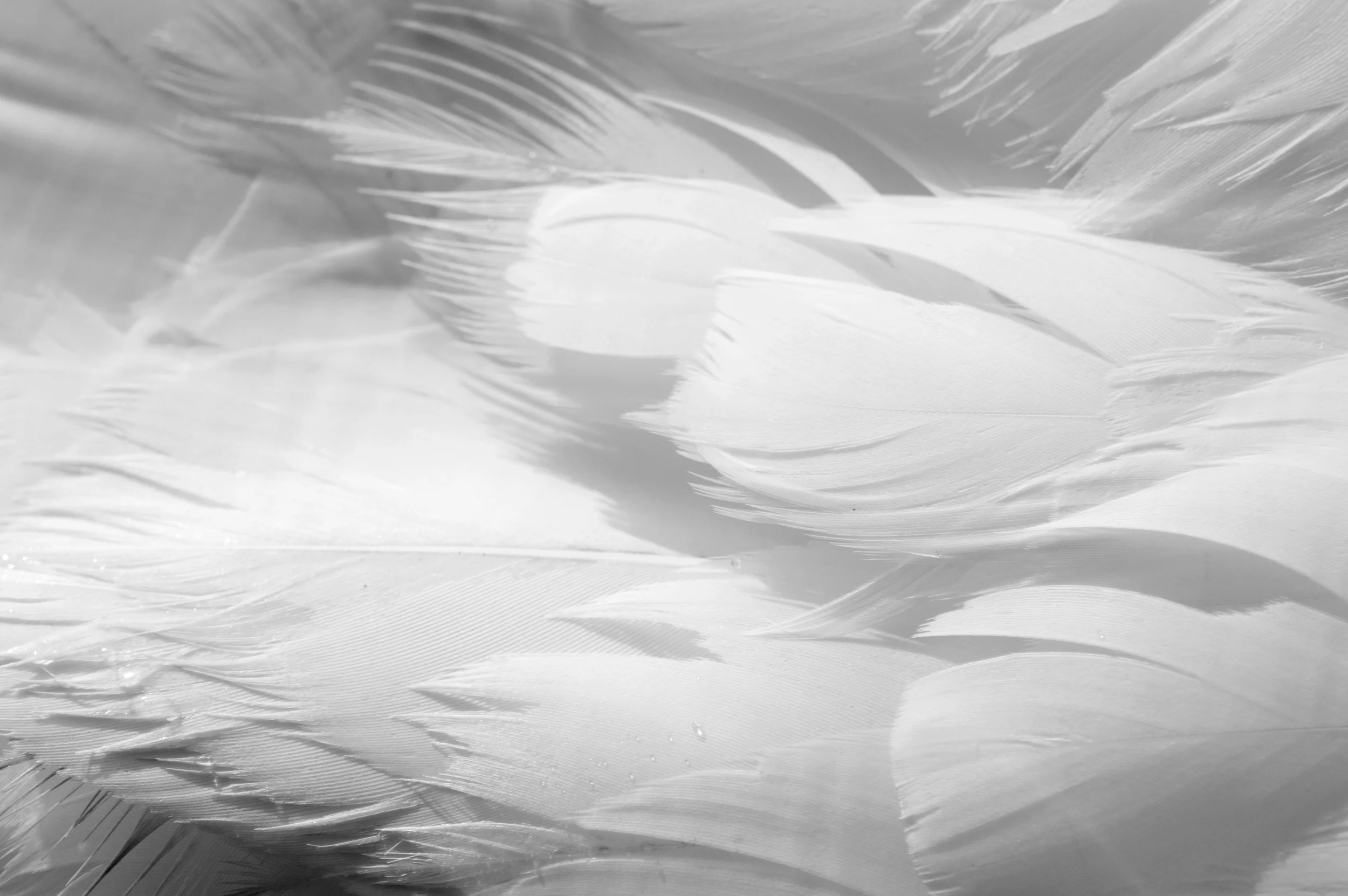 A Video That Moved Me To Tears...