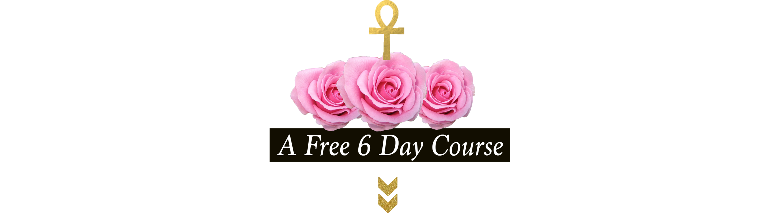freecourse.png