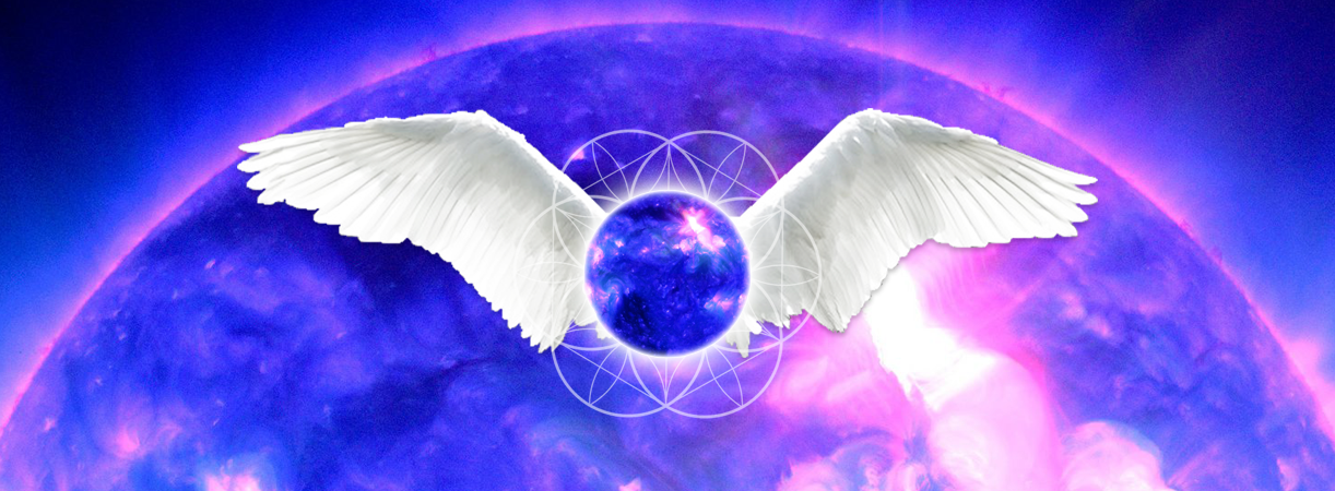 header.png