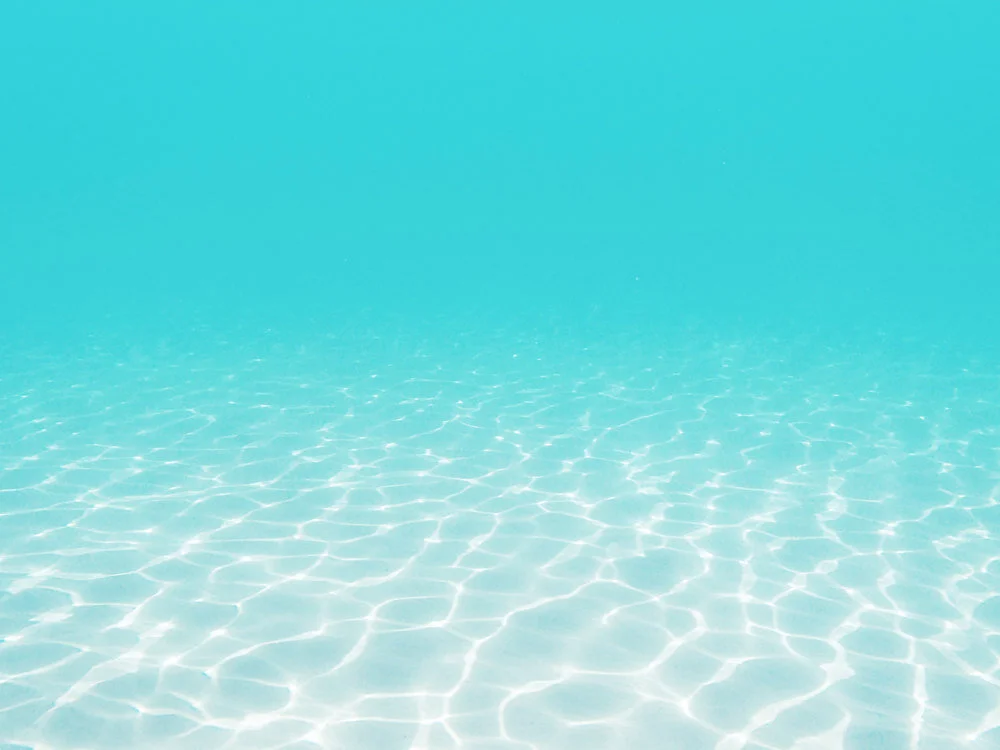 Having a Successful Launch Without Following "The Rules"