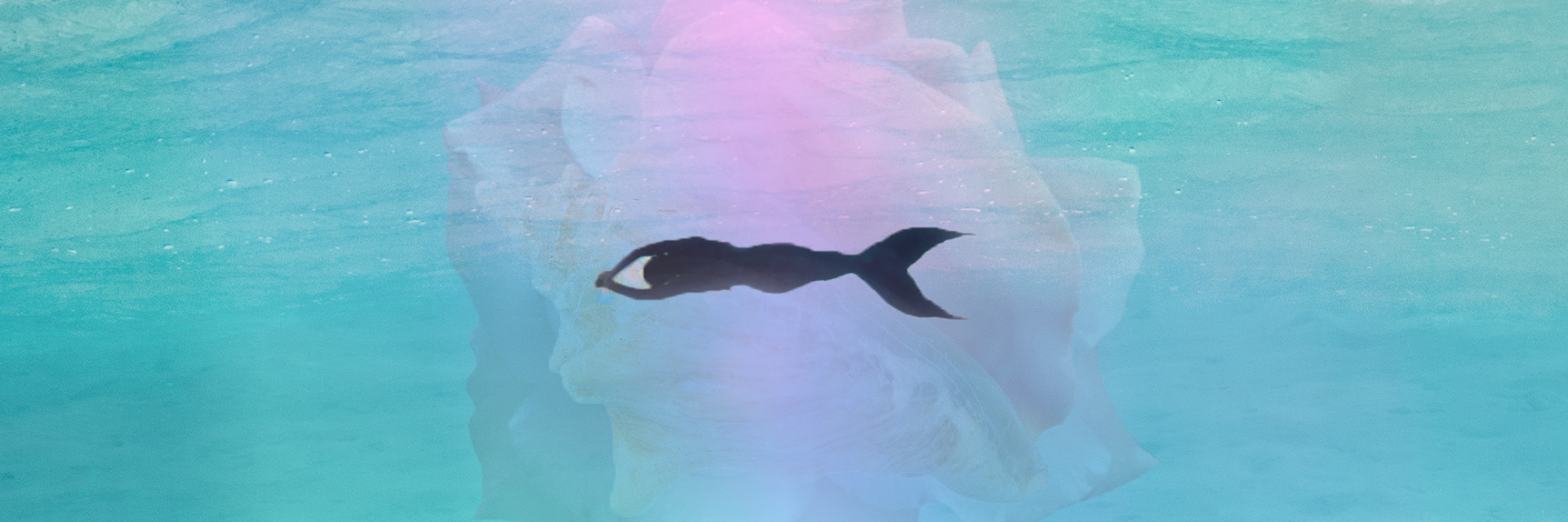 mermaid 4.png