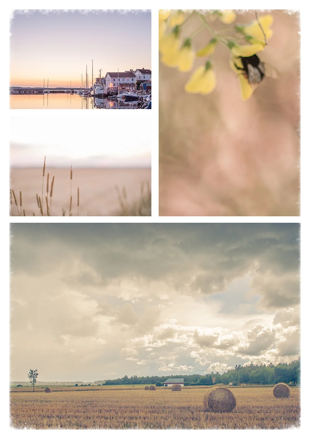  "The Four Seasons "Autumn"