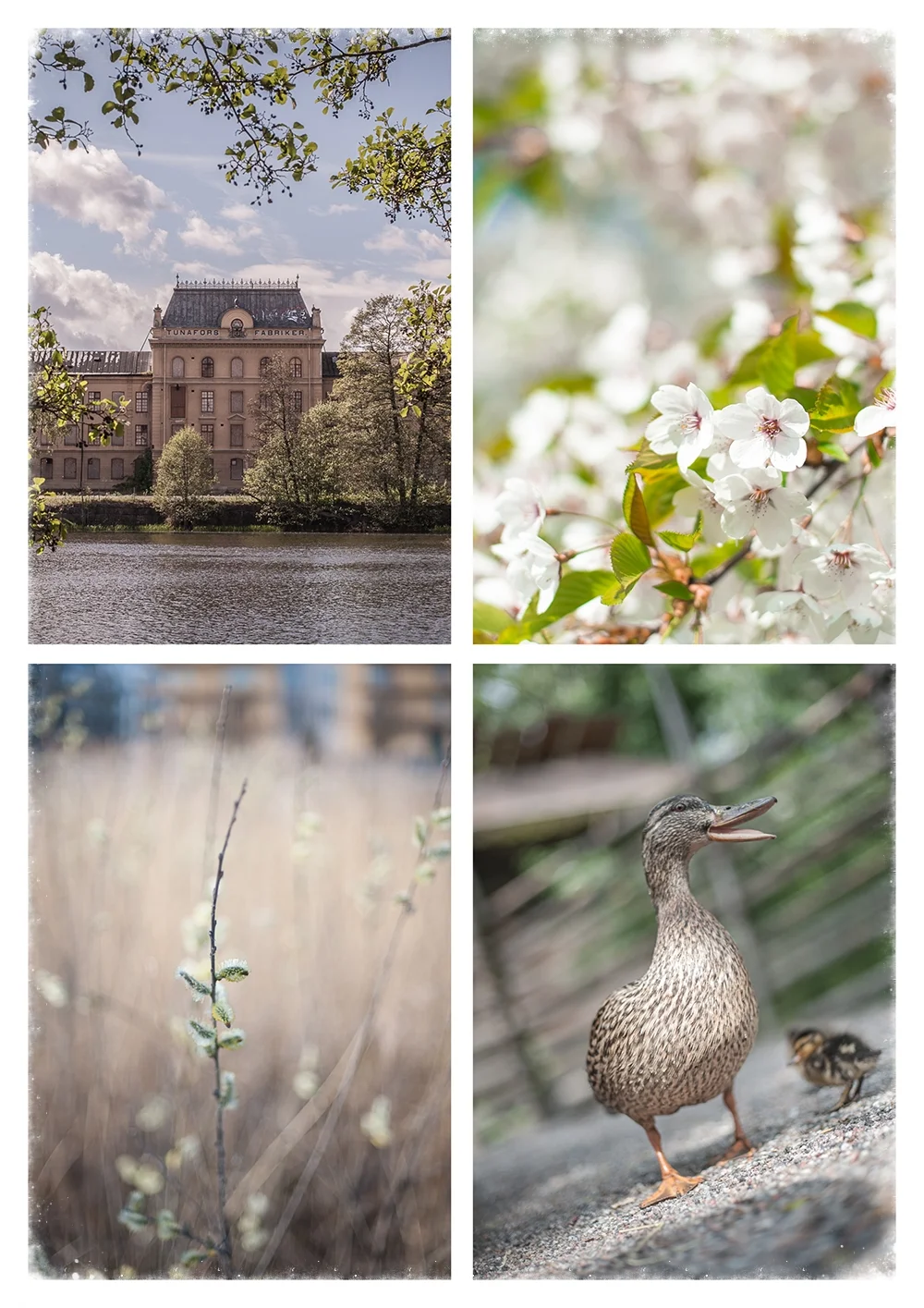  "The Four Seasons "Spring"