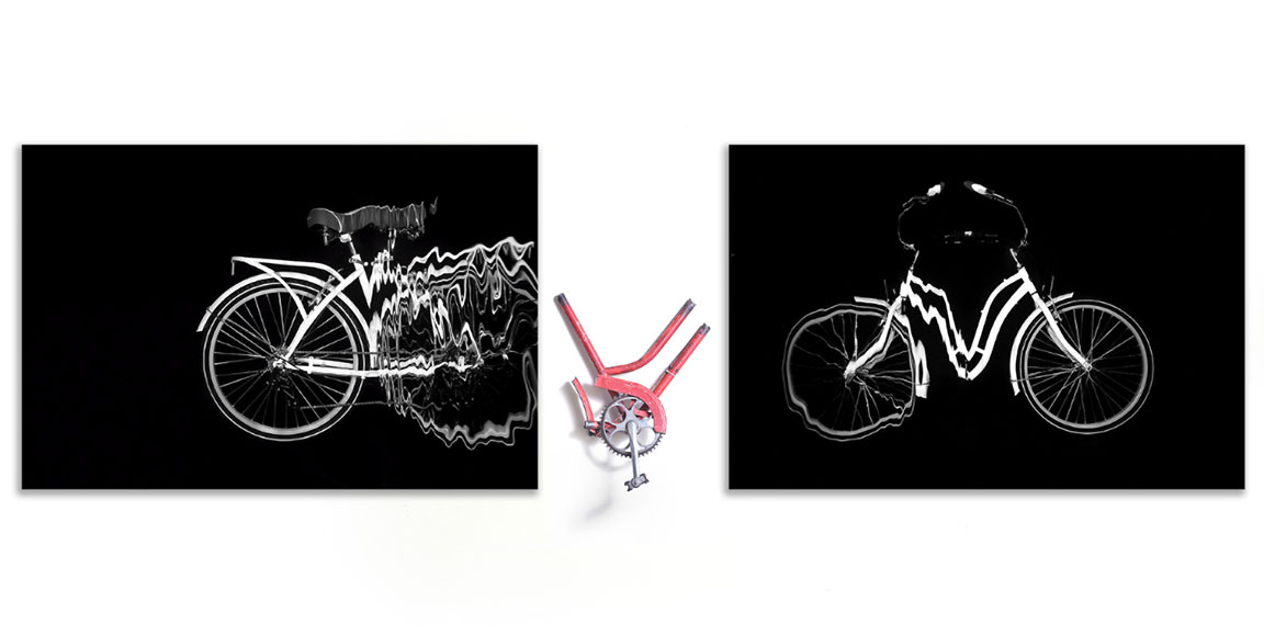 Circle-of-life_web-image.jpg