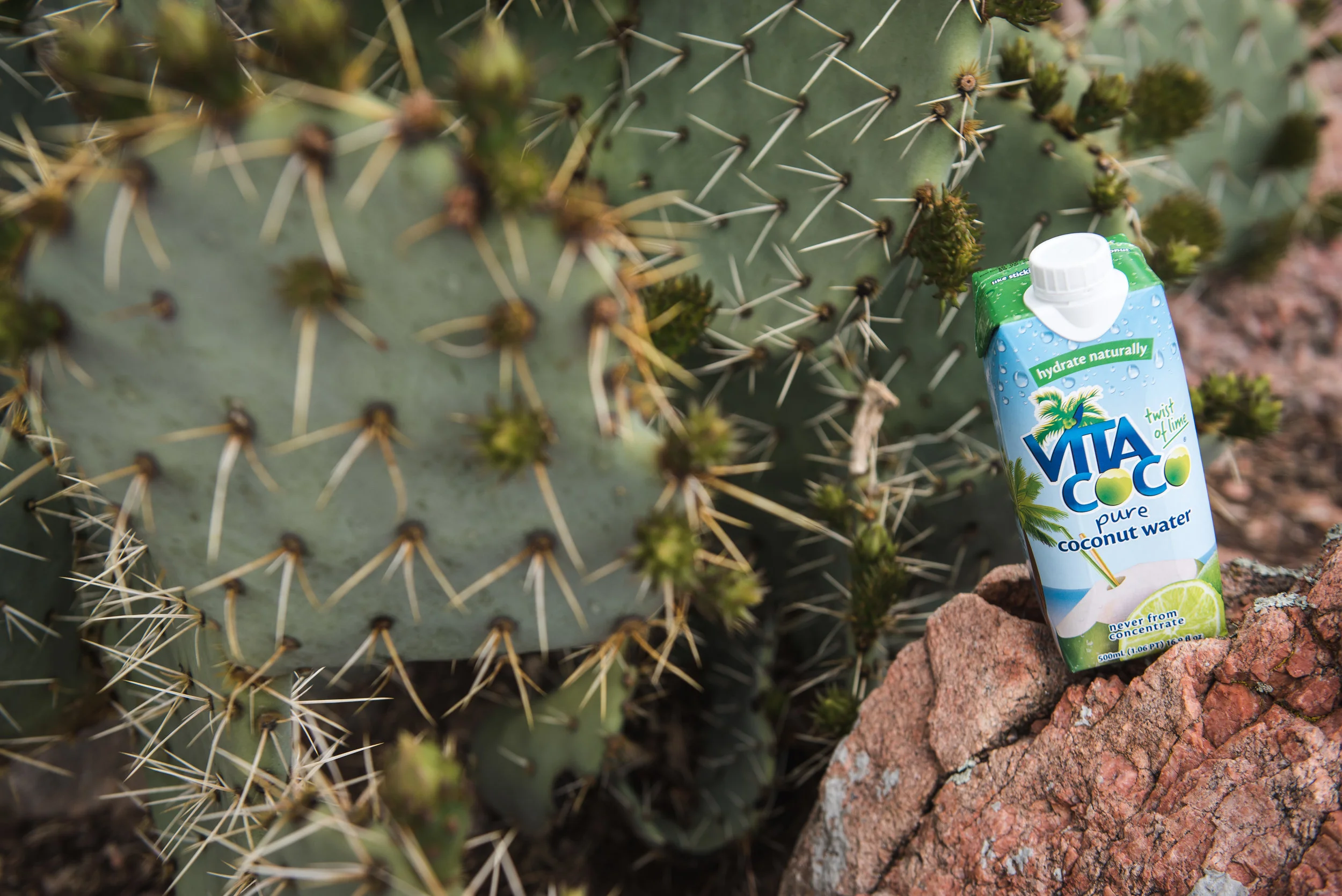 May 2018 - VitaCoco - (12).jpg