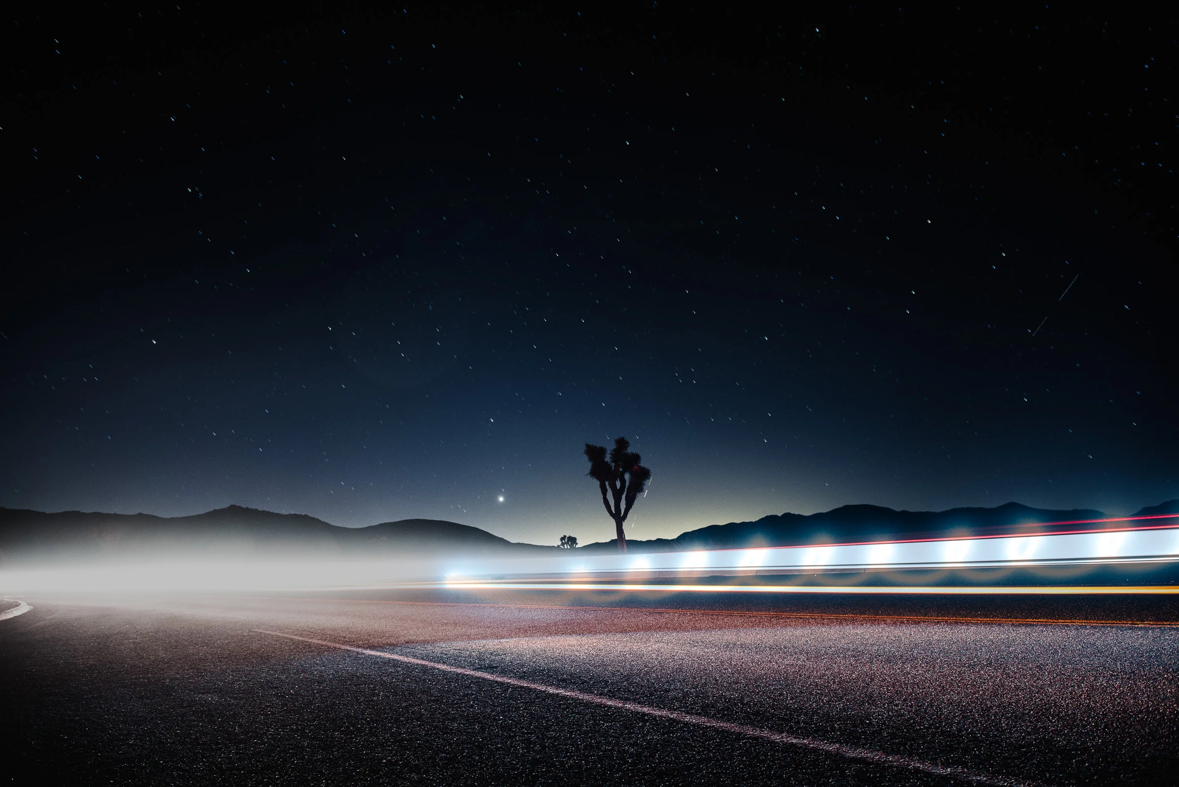 Joshua Tree - (02).jpg