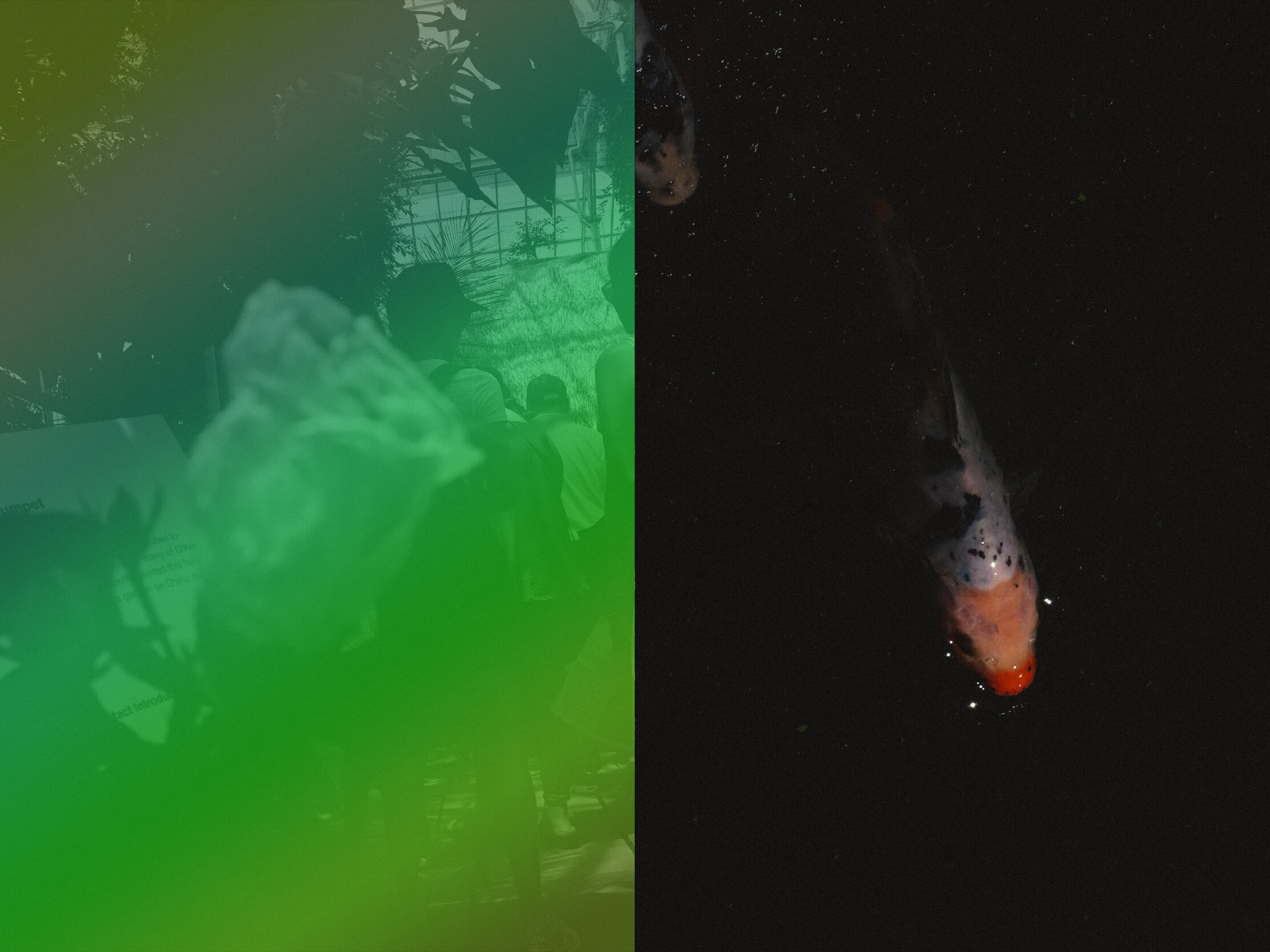 dip-tych-1.jpg