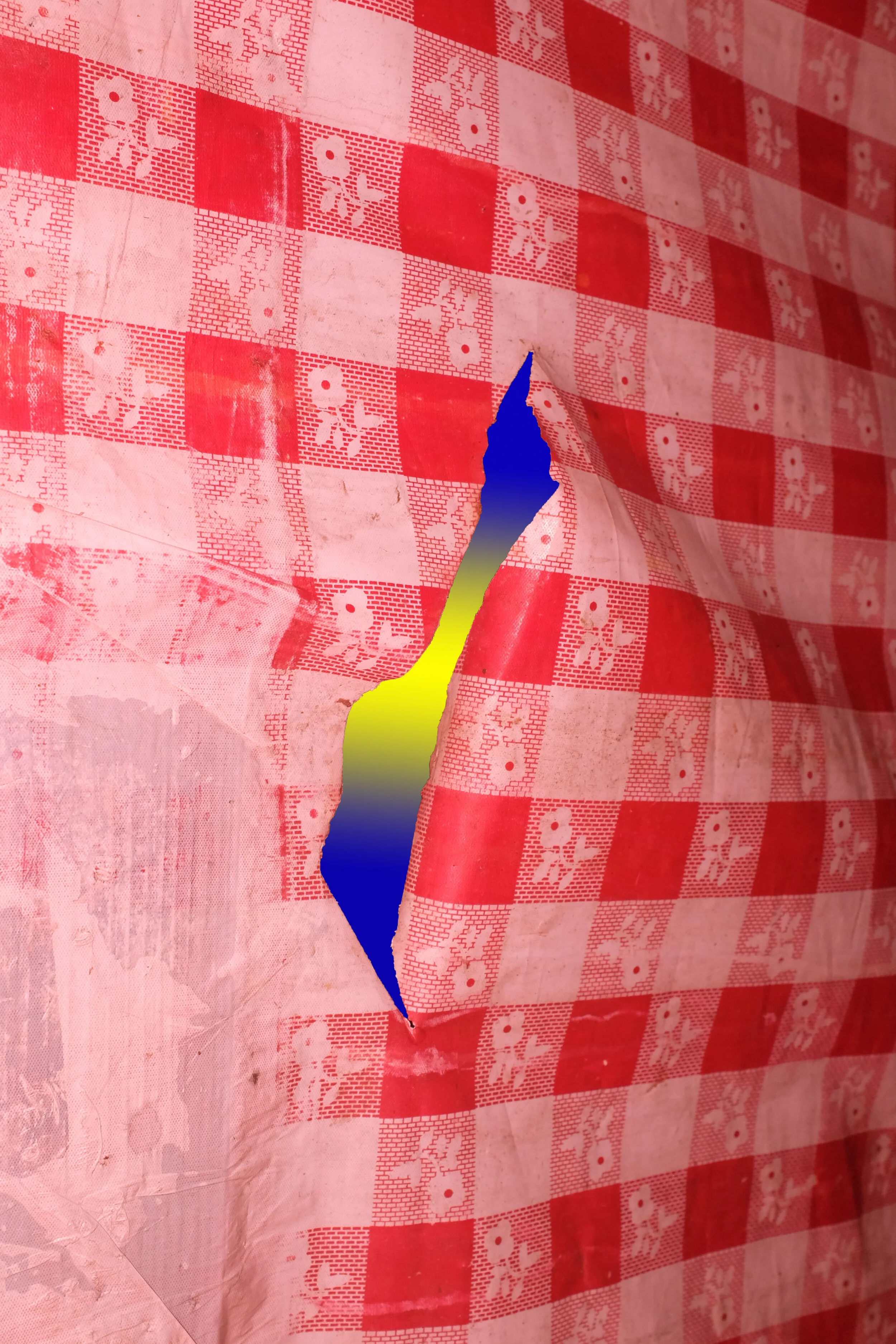DSCF7835.jpg