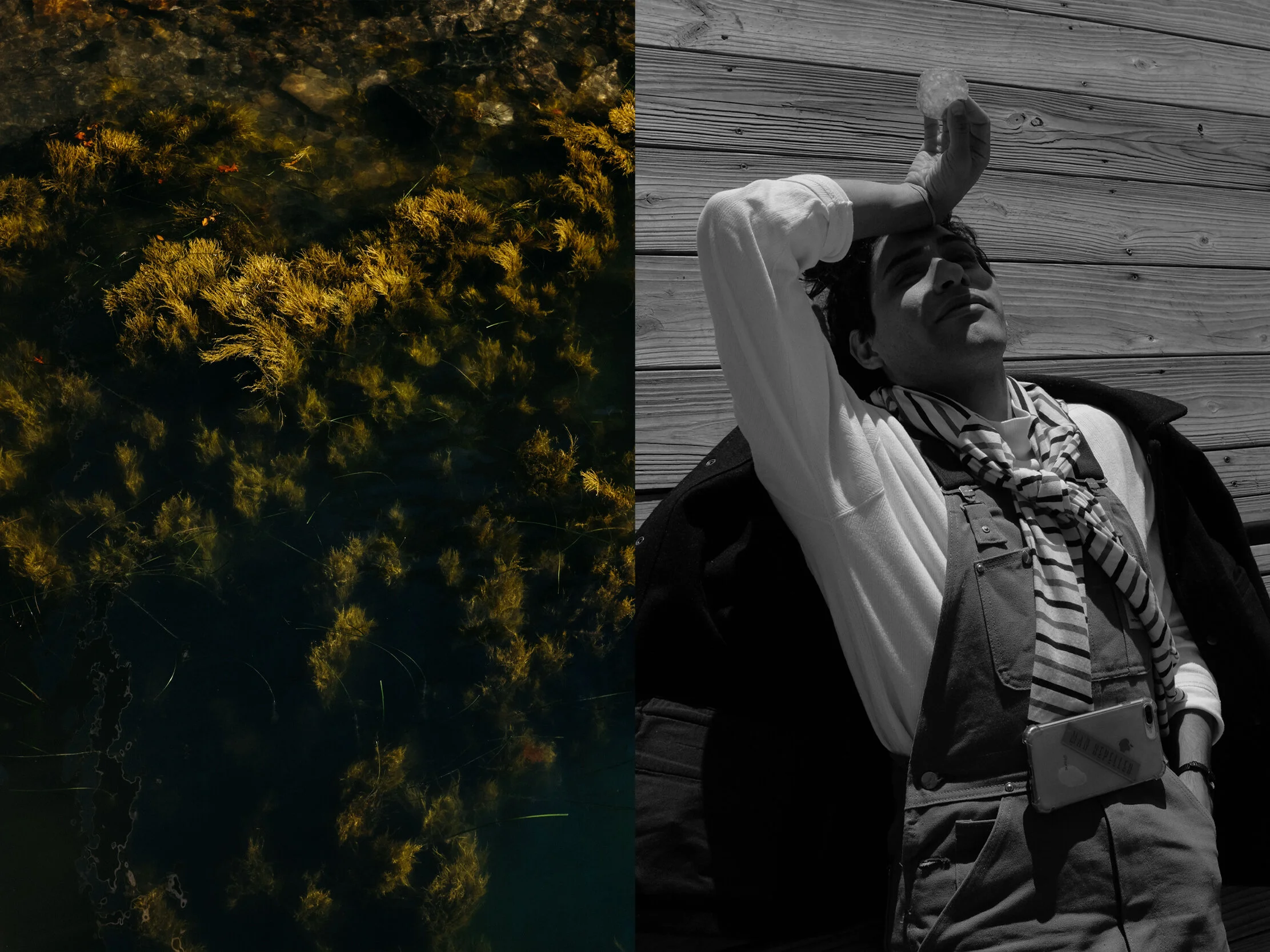 dip-tych-2.jpg