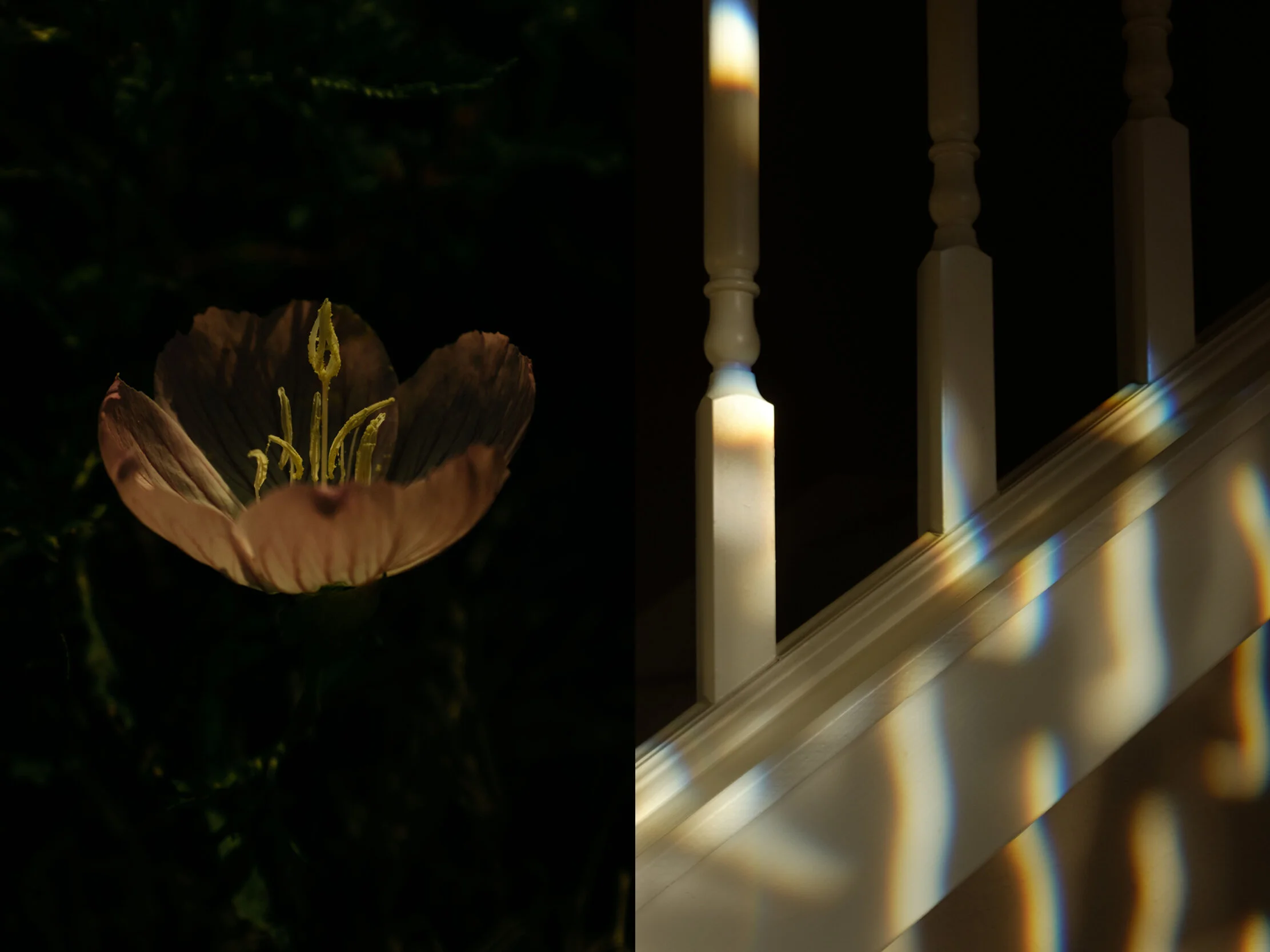 dip-tych-5.jpg