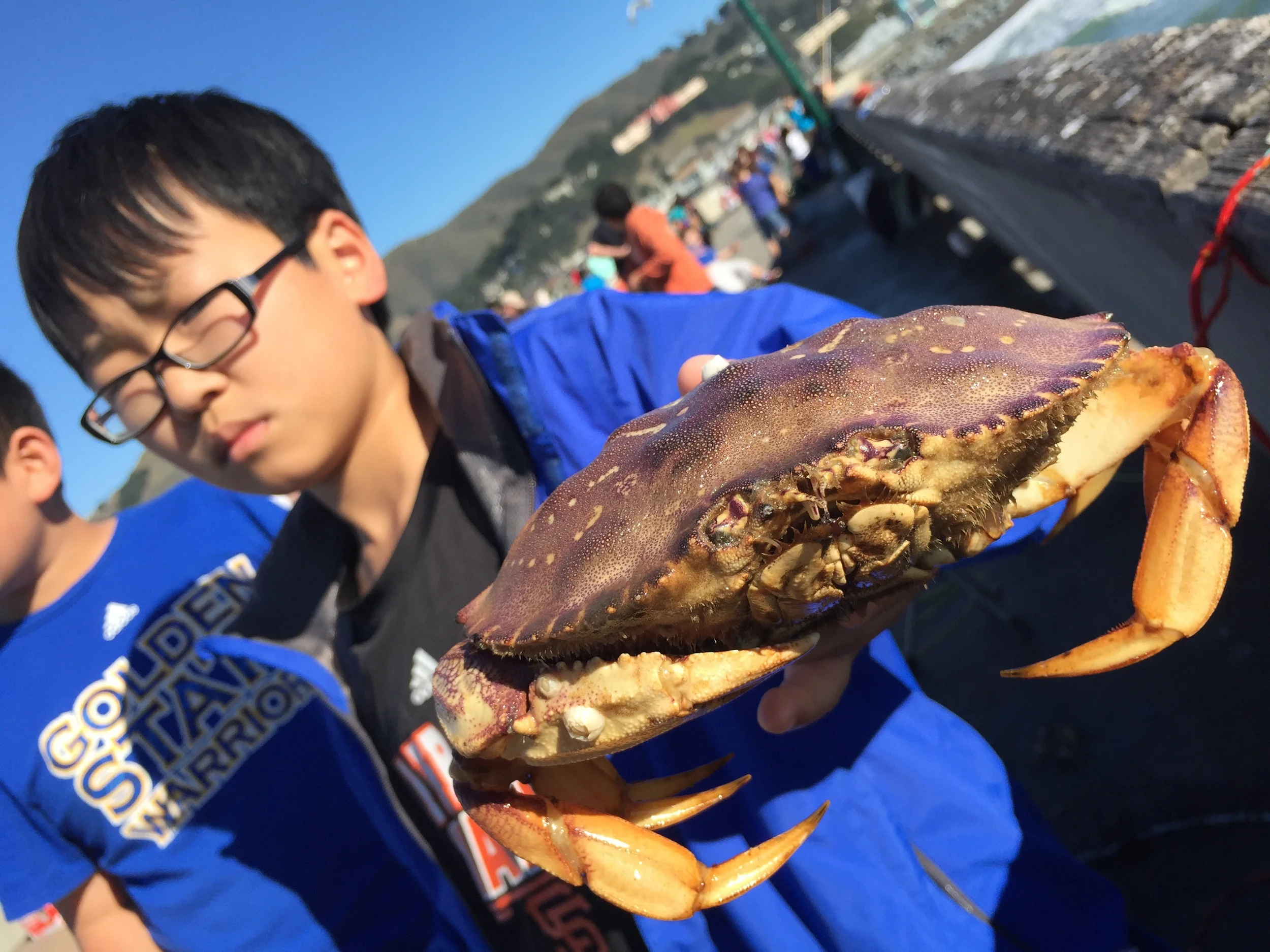 We'll come back for you next year, crab--to give you another uncomfortable close-up.
