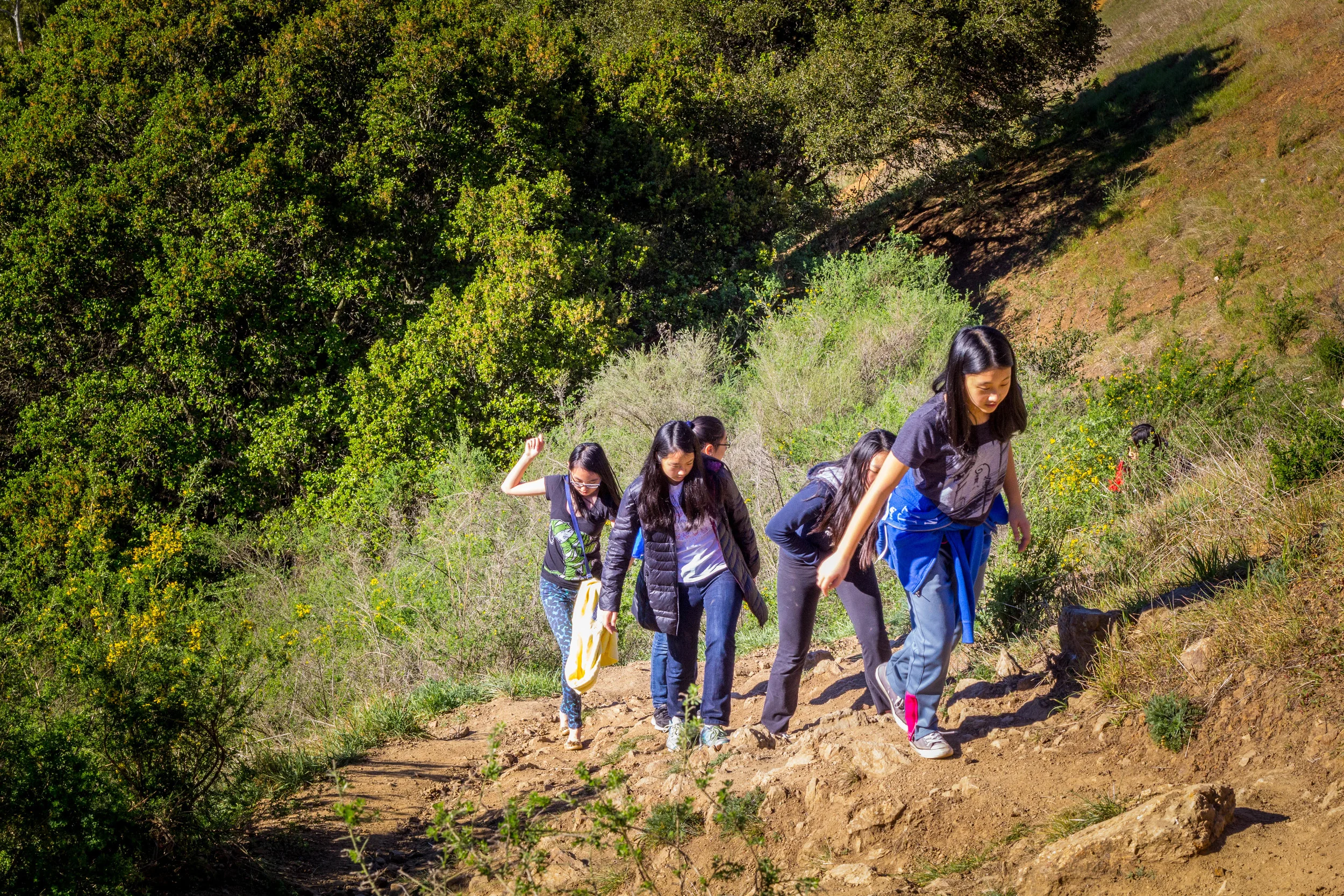 Intensity in action. How one can possibly hike the Fire Trail in a down jacket--I do not know.
