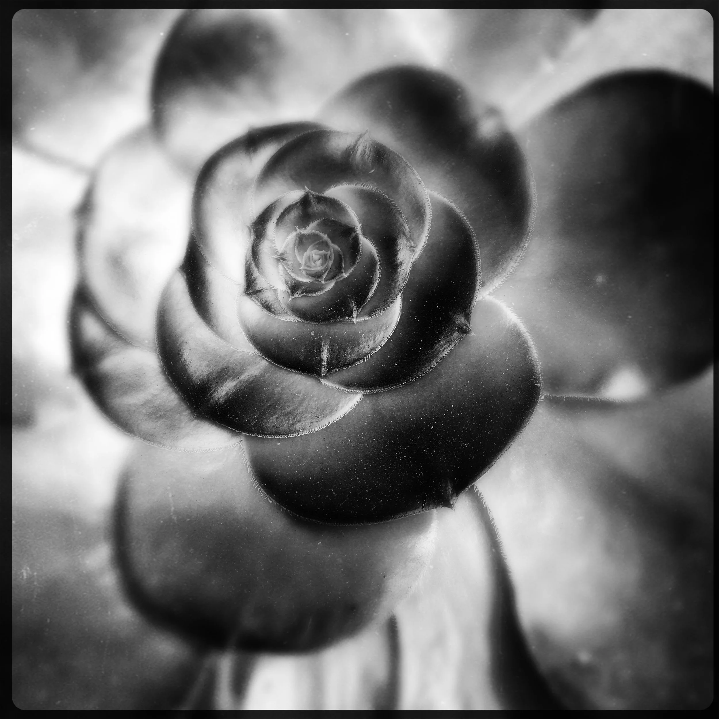 HipstamaticPhoto-497993816.601314.jpg