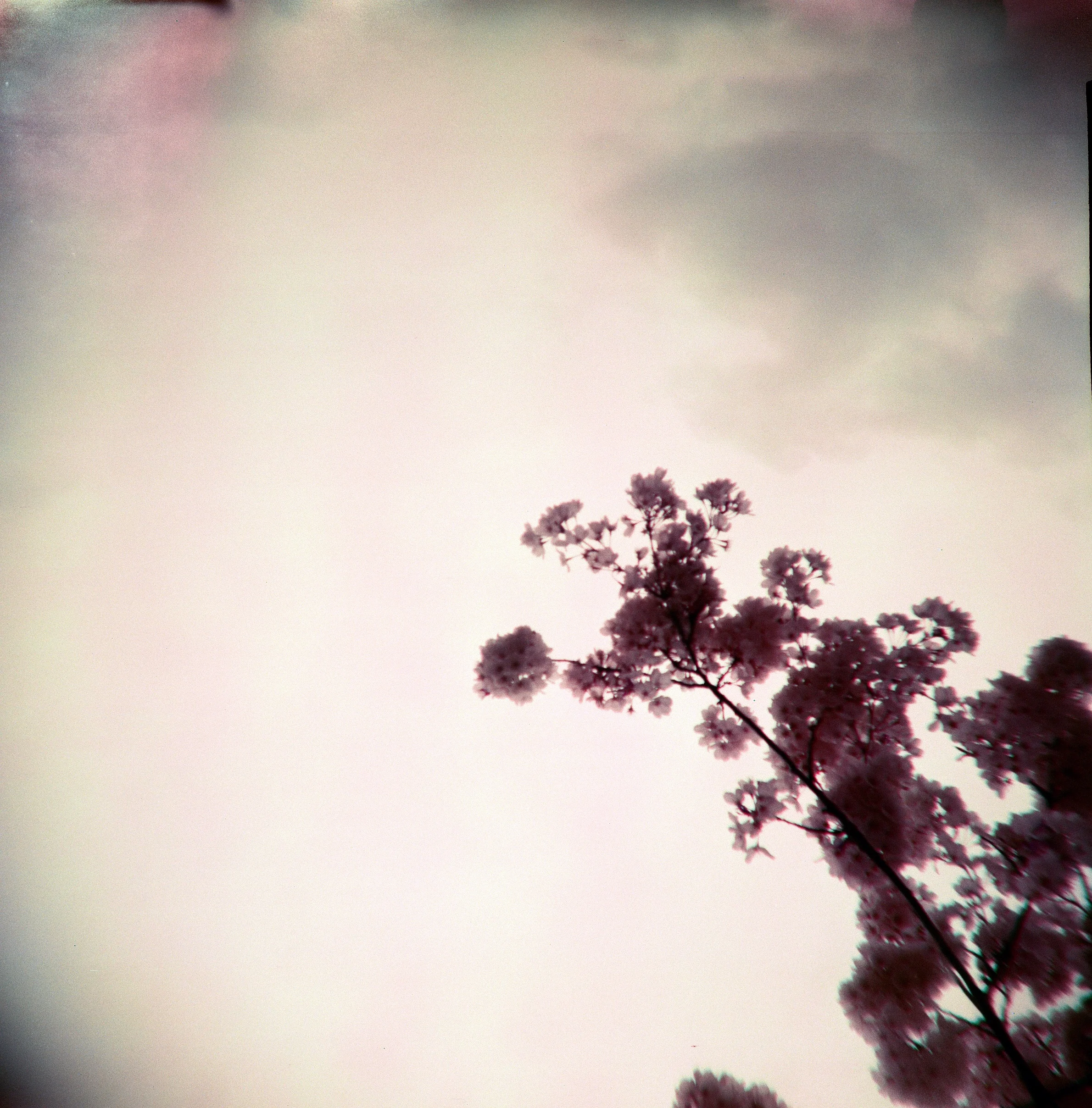 julie moore_When  The Rainbow Whispered.jpg