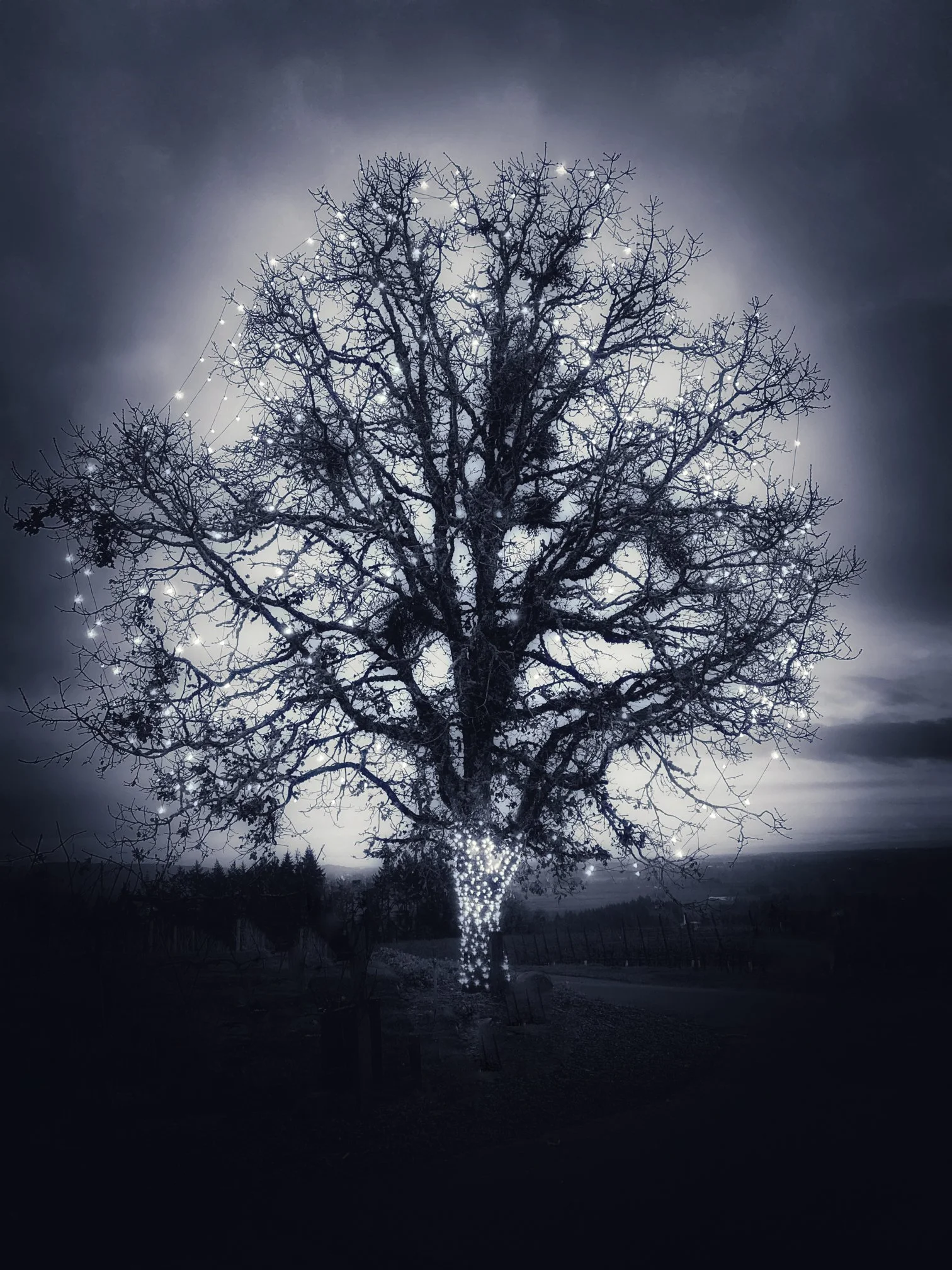 Durant Tree