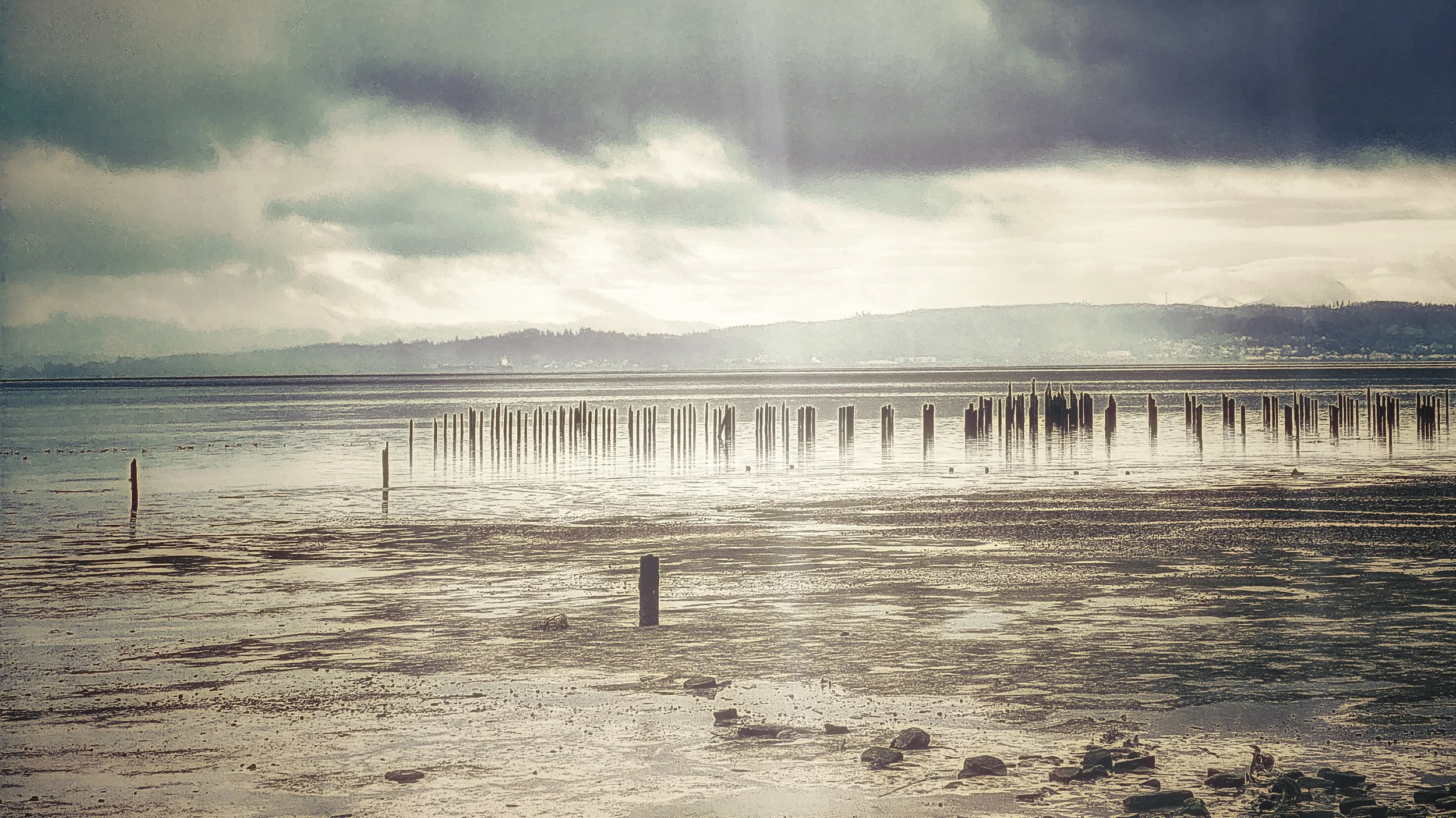 Oysterville , Washington foggy morning