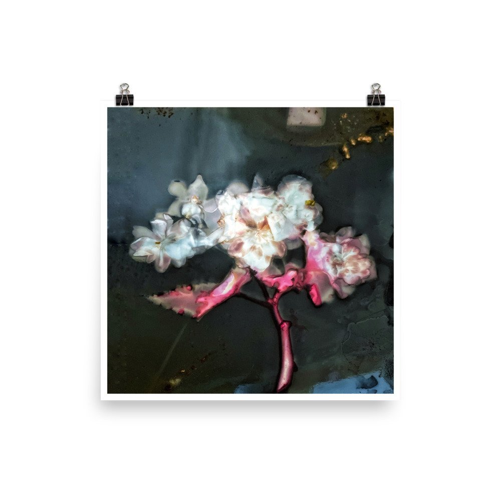 premium-luster-photo-paper-poster-(in)-18x18-transparent-673f854a00599.jpg