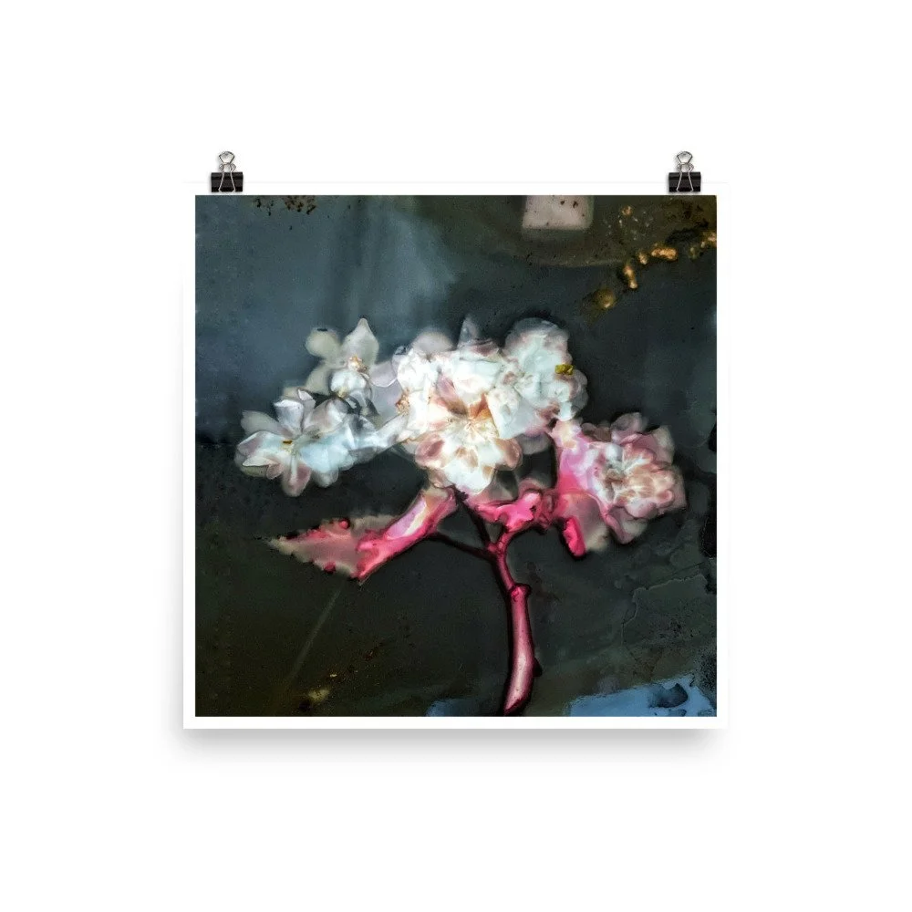 premium-luster-photo-paper-poster-(in)-12x12-transparent-673f854a00f8d.jpg
