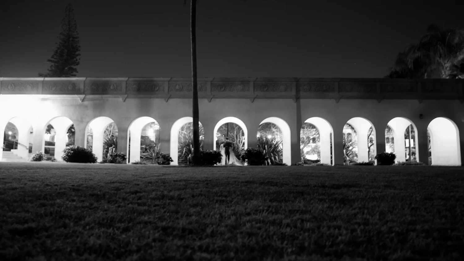 bridged_MFVII-1.jpg