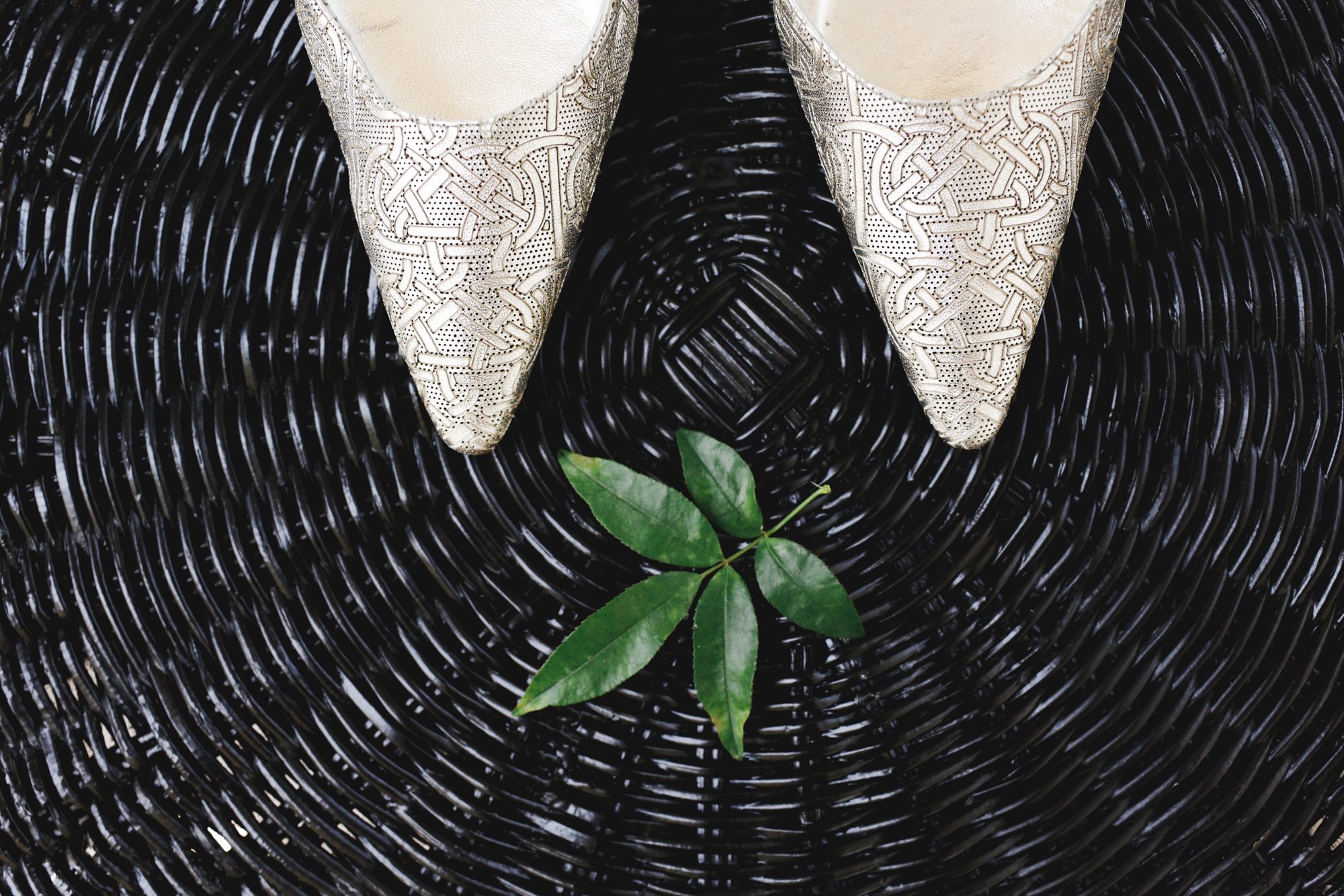 toes_MFVII-1.jpg