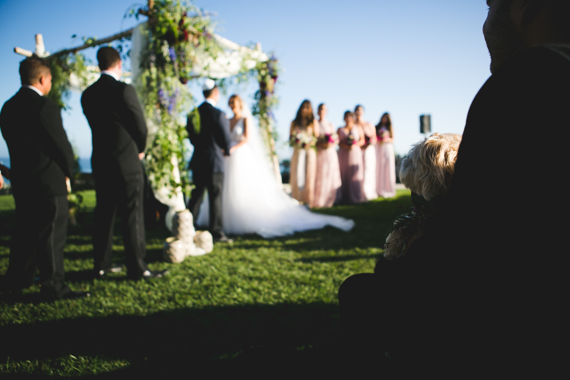 jayme.jay_MFVII-42.jpg