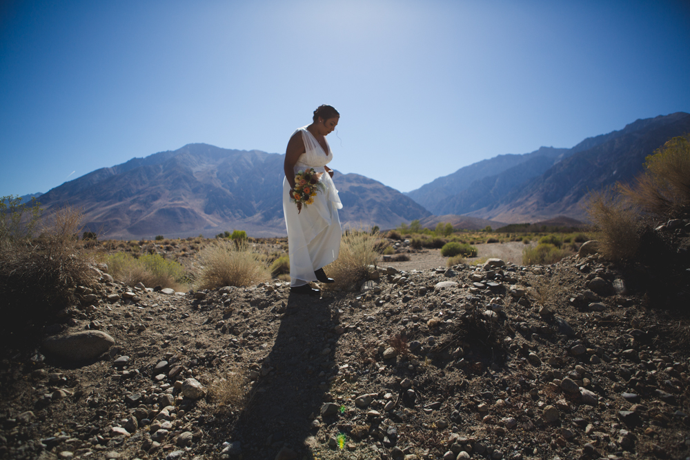 angelina.jonathan_MFVII-15.jpg