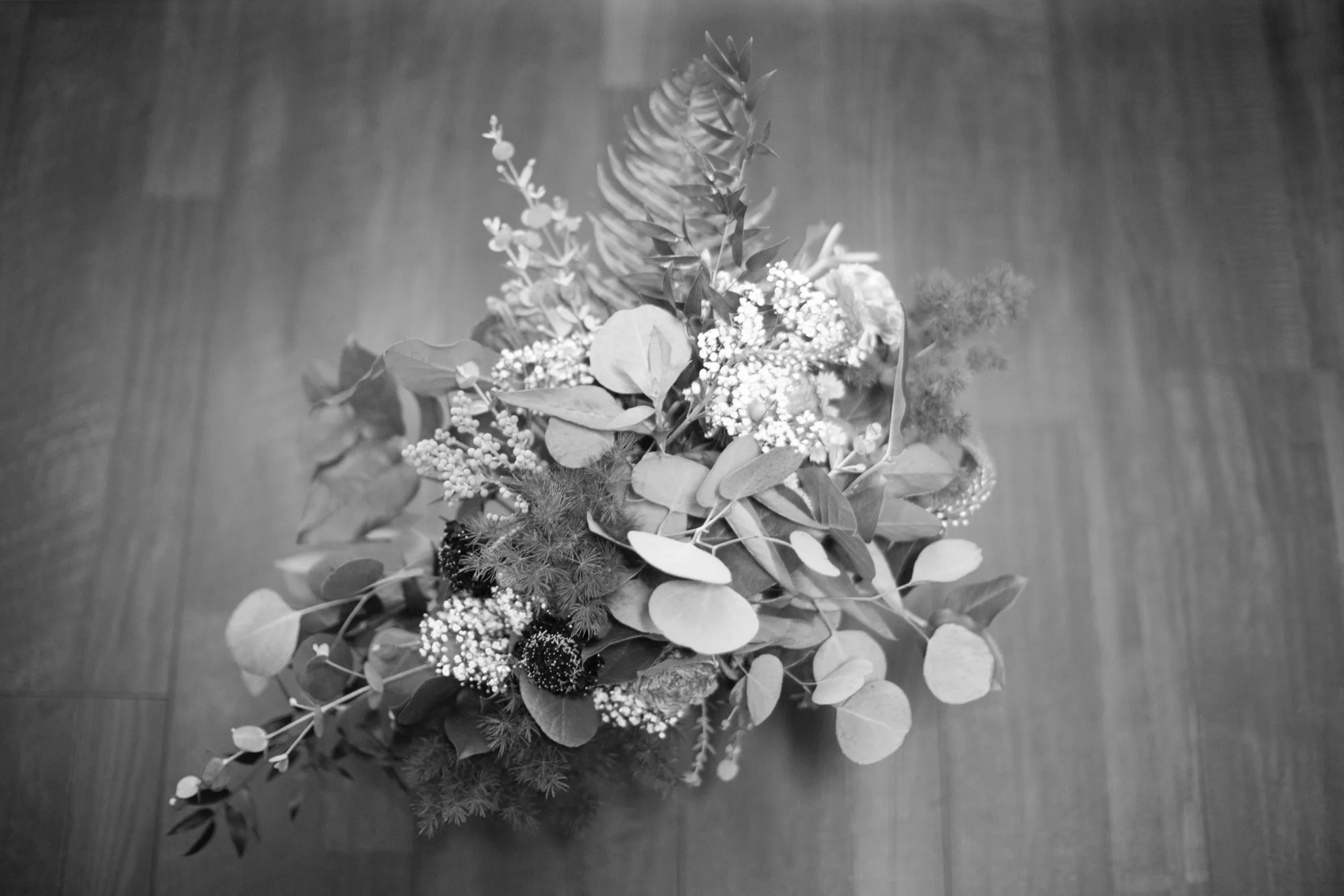 stephanie.duncan_MFVII-41.jpg