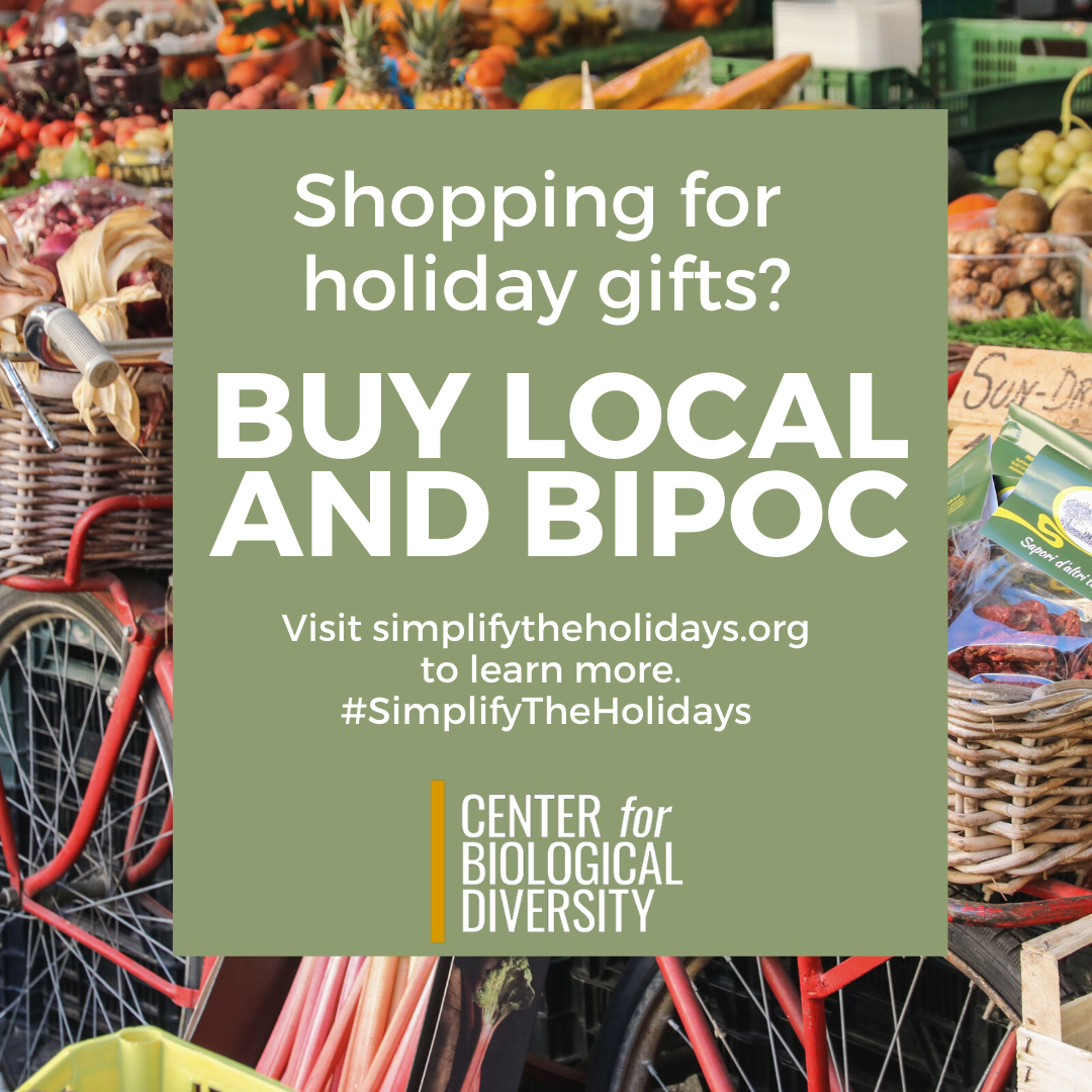 Celebrate the holidays with low-waste and locally made gifts