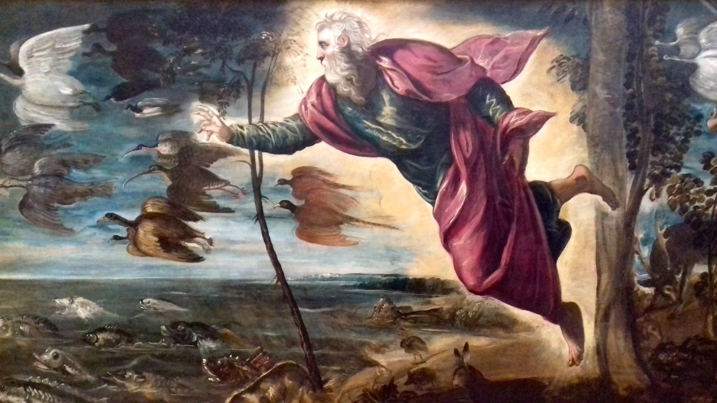 La création des animaux , Le Tintoret, Galleria dell'Accademia. 