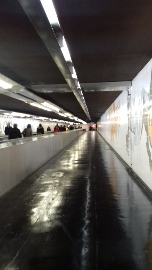 RER.jpeg